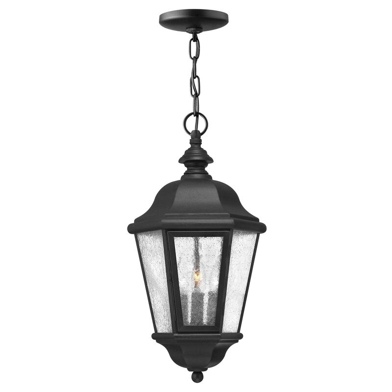 Edgewater Medium Outdoor Hanging Lantern by Hinkley