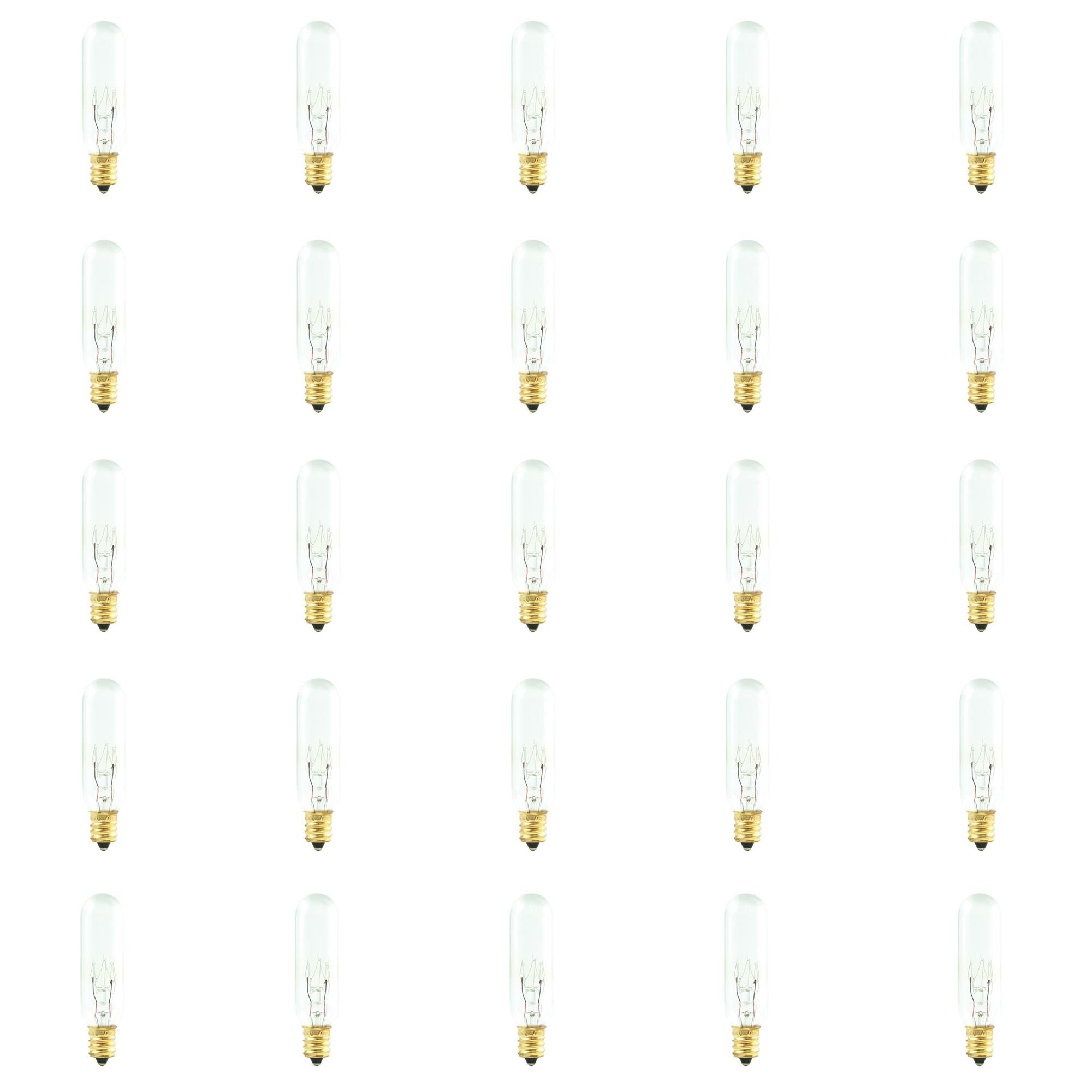 25 Watt 2700K T6 Incandescent Light Bulb by Bulbrite