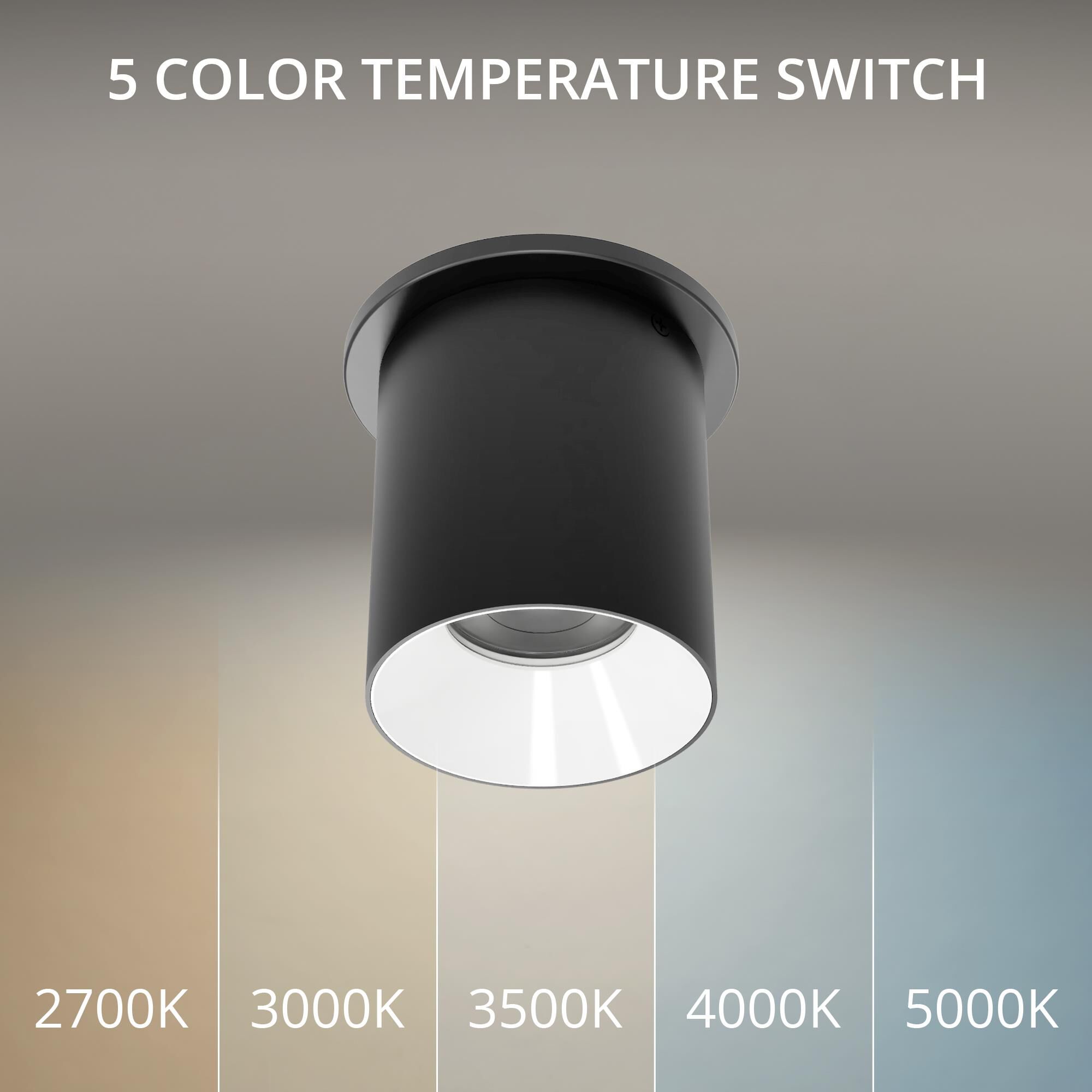 Zoron 5 Inch Outdoor Flush Mount by WAC Lighting