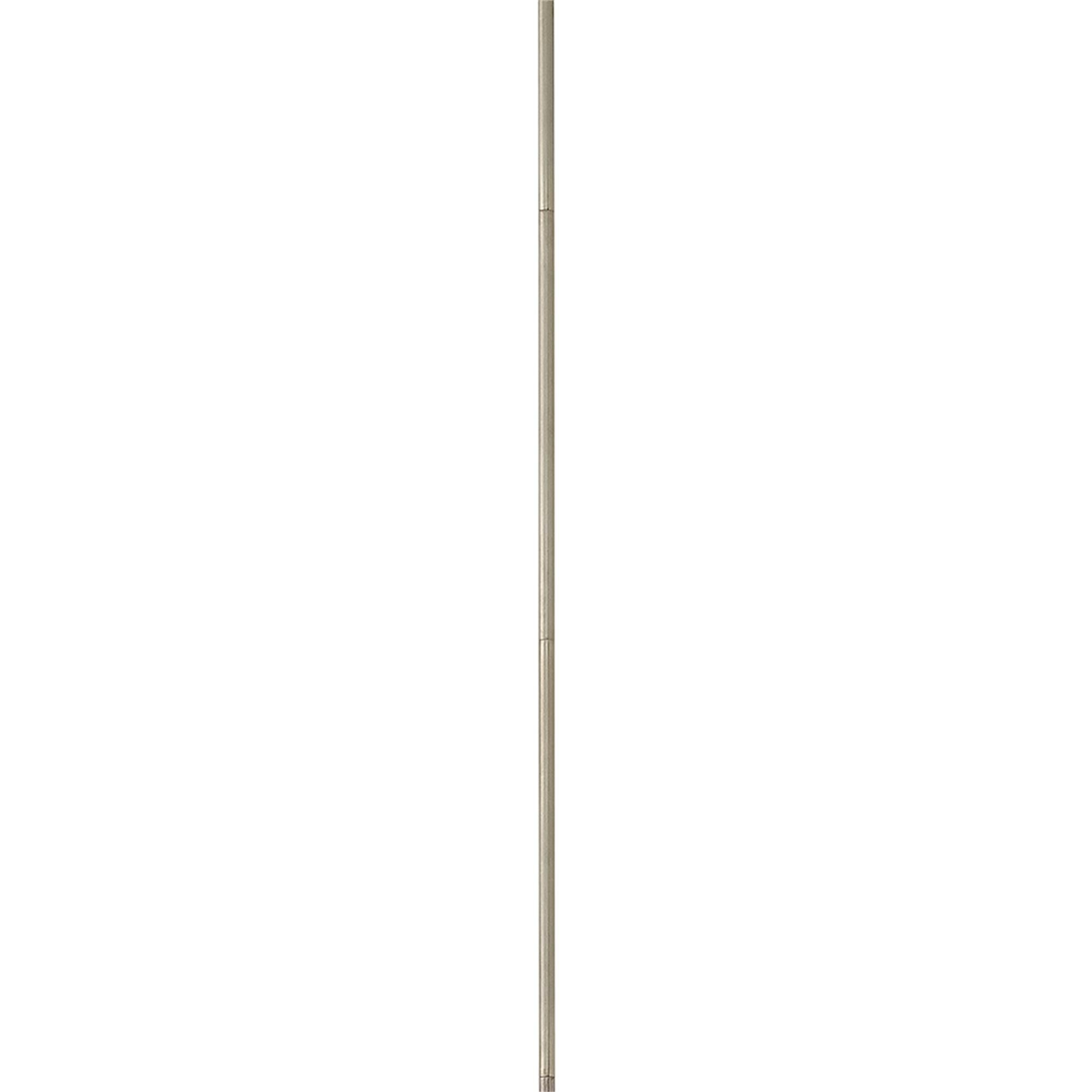Stem Segment,