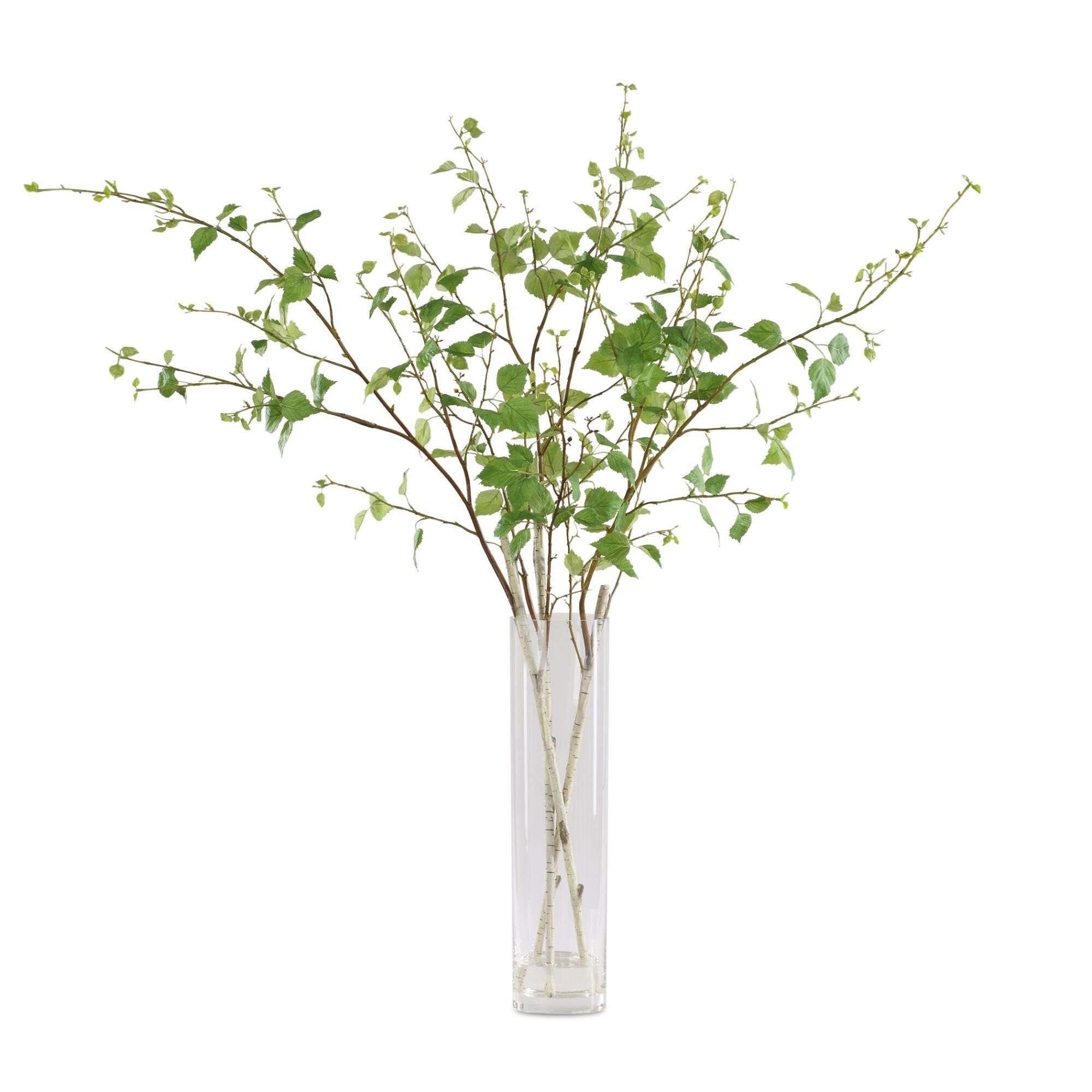 Constance Lael-Linyard Nigra 48 Inch Botanical by Uttermost