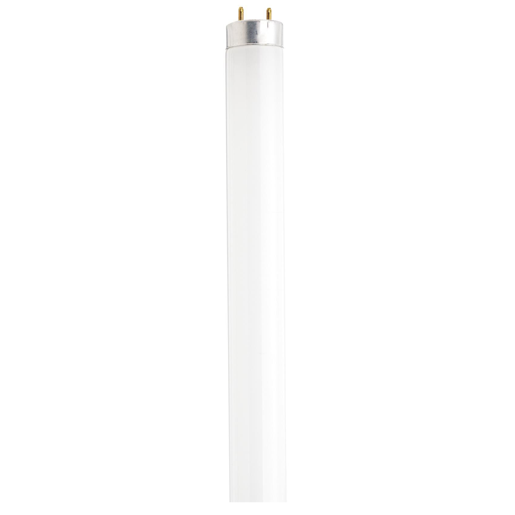 32 Watt 5000K T8 Fluorescent Light Bulb by Satco