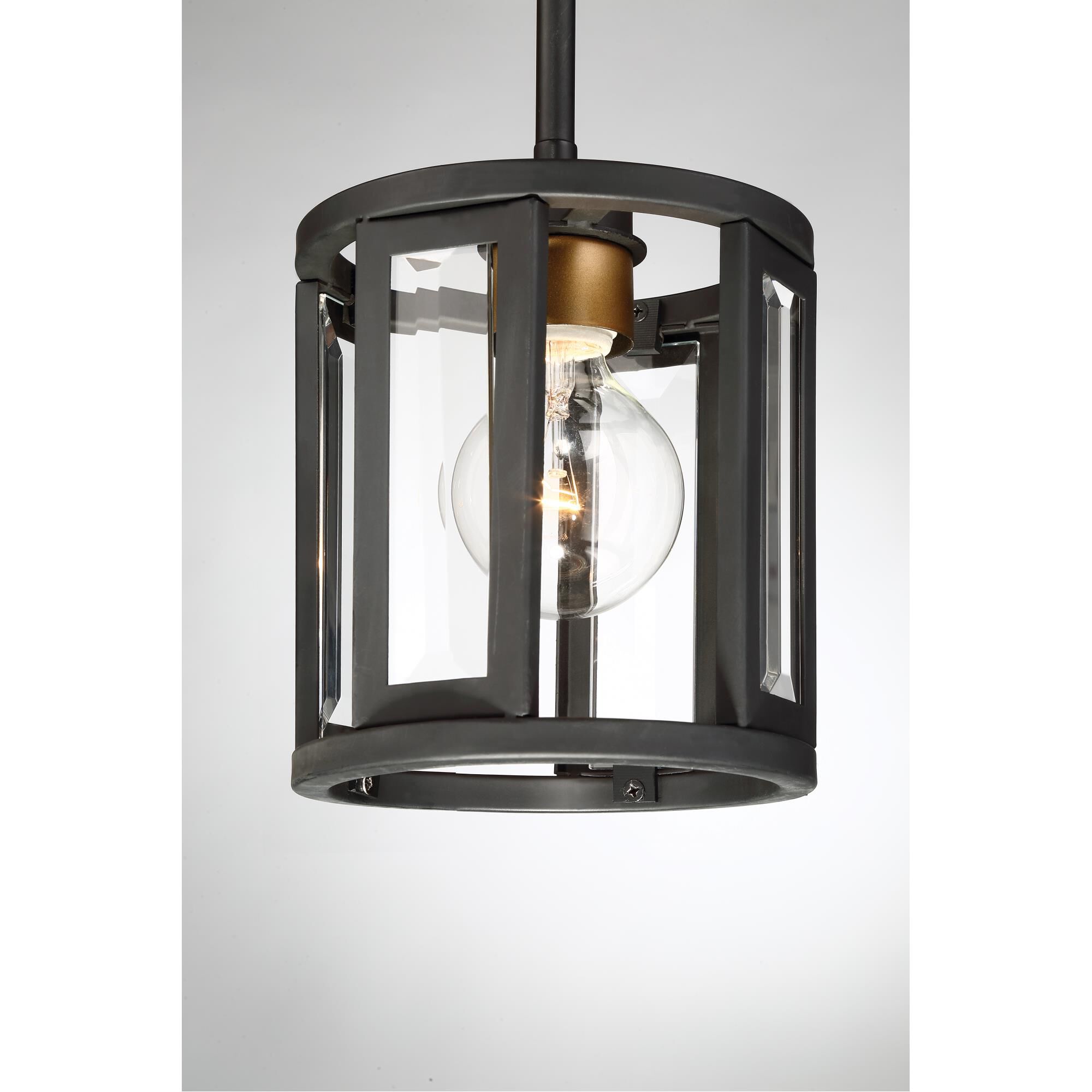 Payne 6 Inch Mini Pendant by Nuvo Lighting