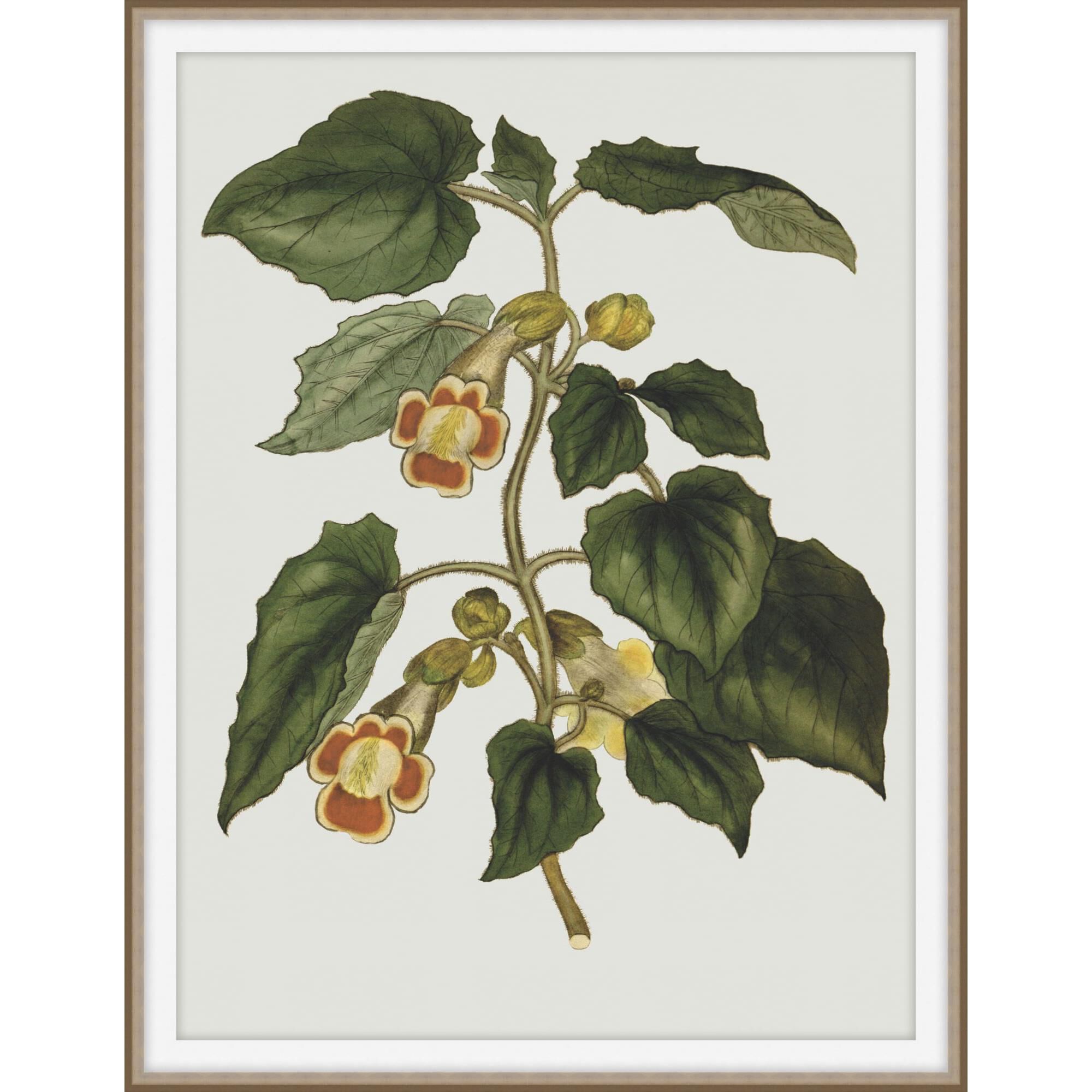 Studio L57 Nouvelle Inviting Bounties Print by LEVEL57