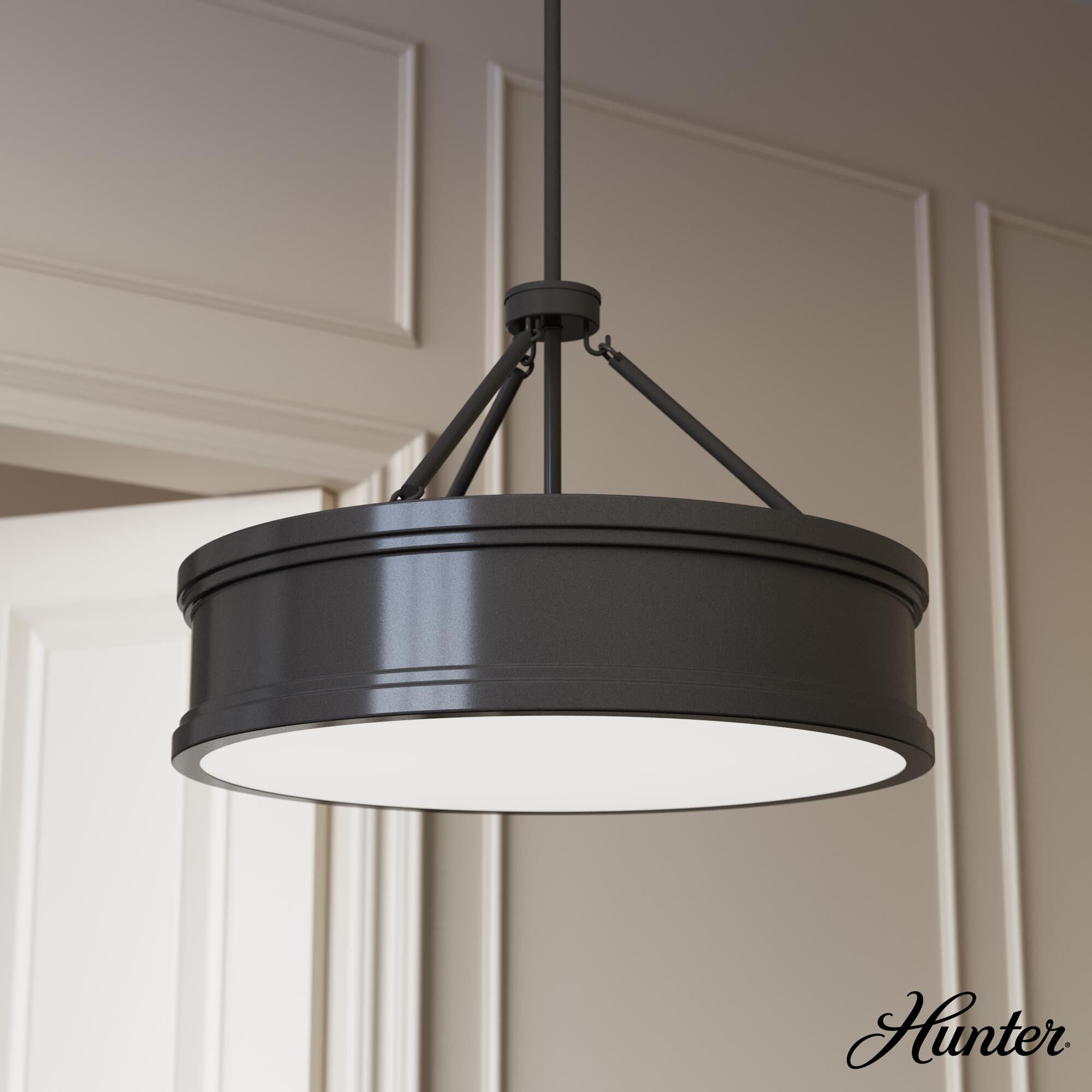 Capshaw 24 Inch Large Pendant by Hunter Fan