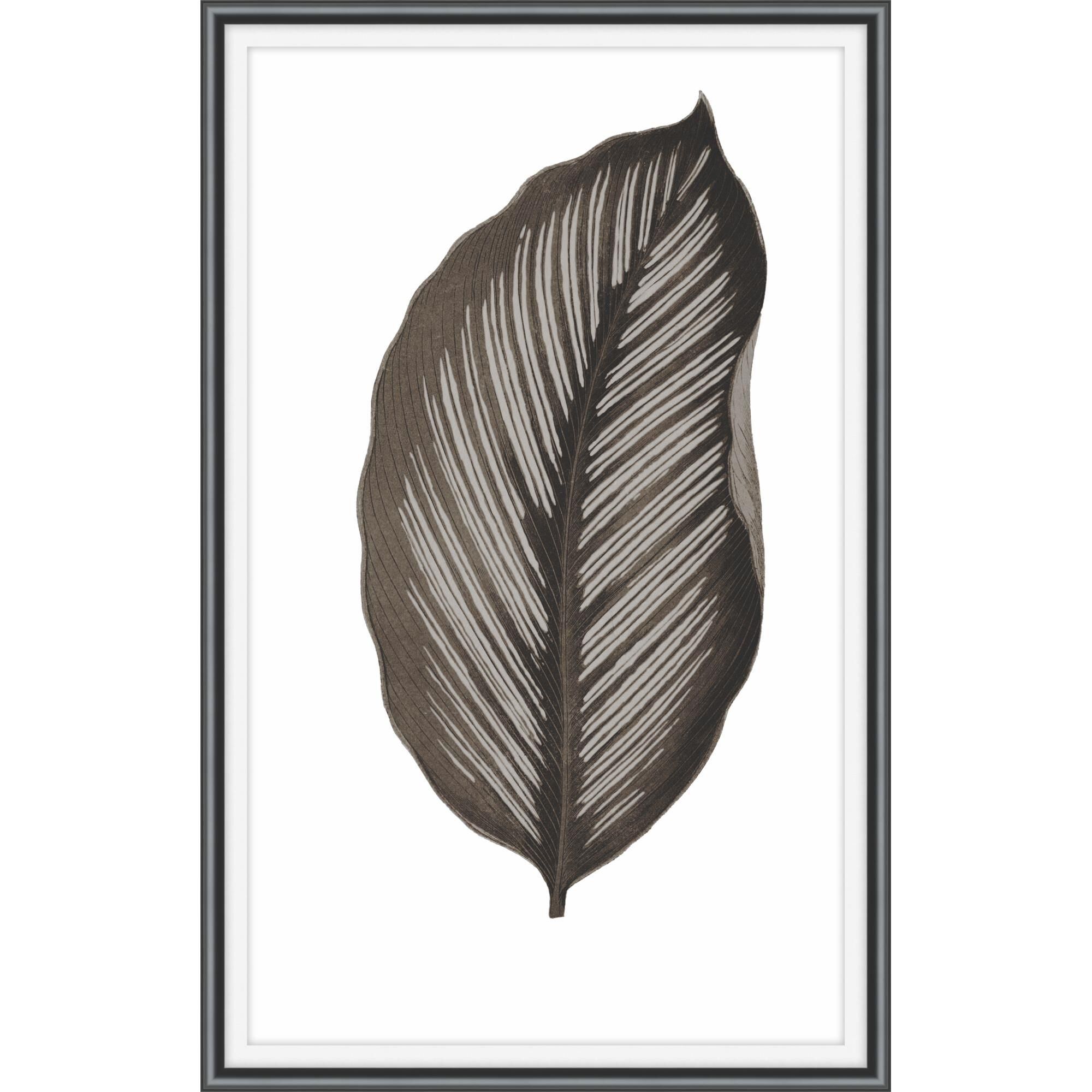 Studio L57 Nouvelle Daily Wish Black Print by LEVEL57