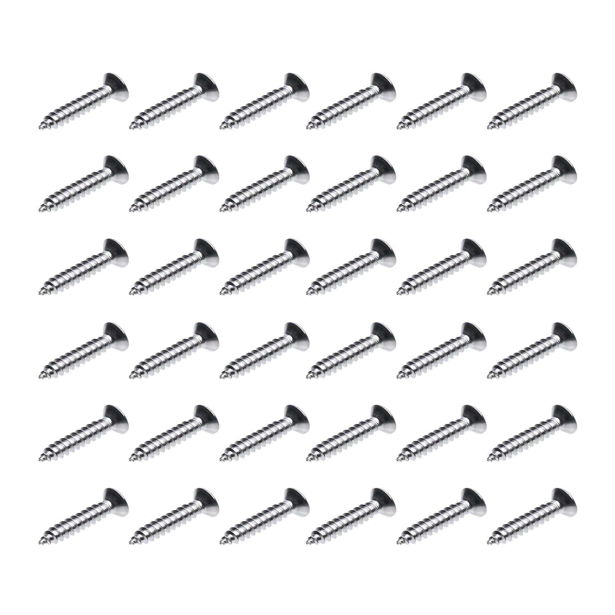 Starfish 600 Inch String Light,