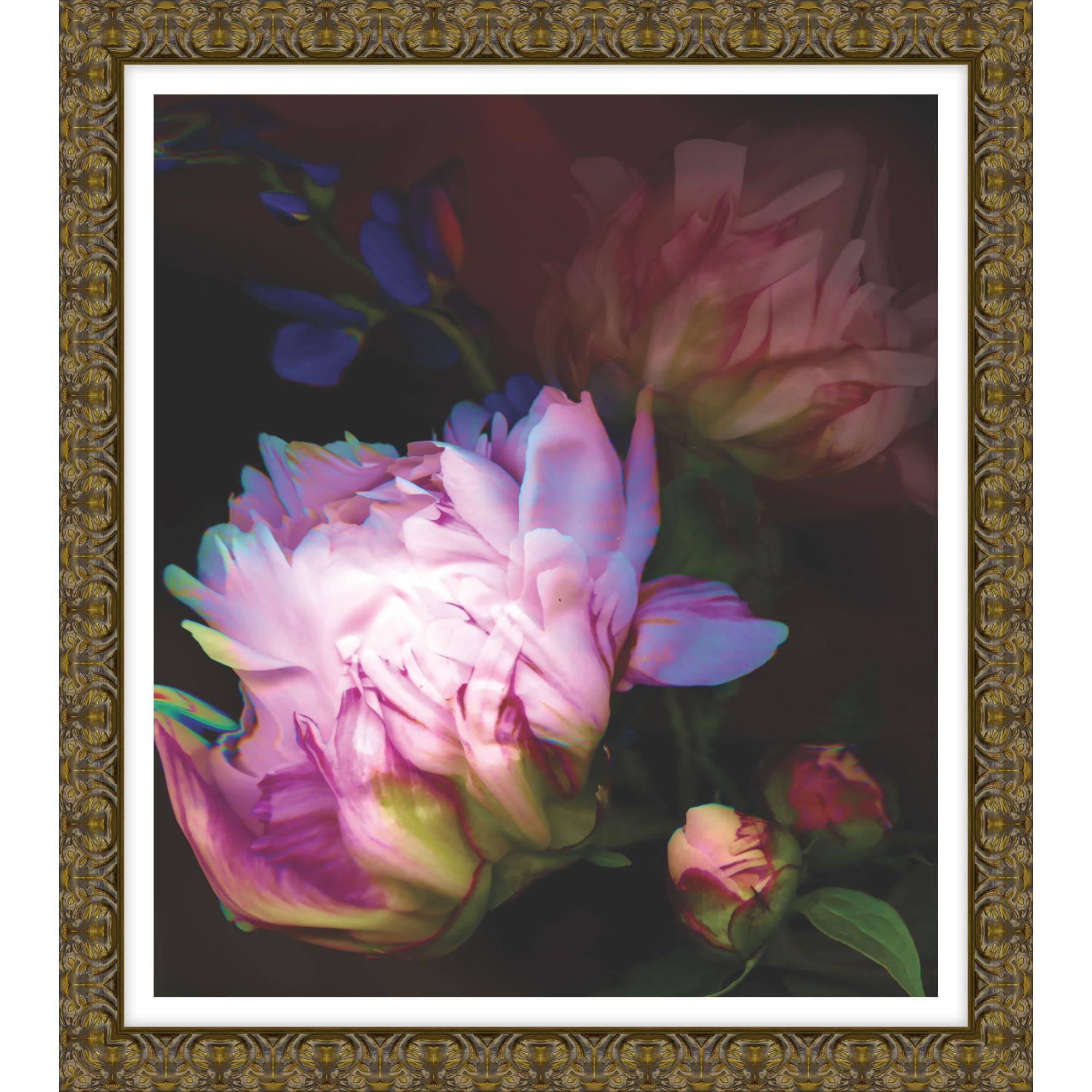 Peony Composition Print by LEVEL57