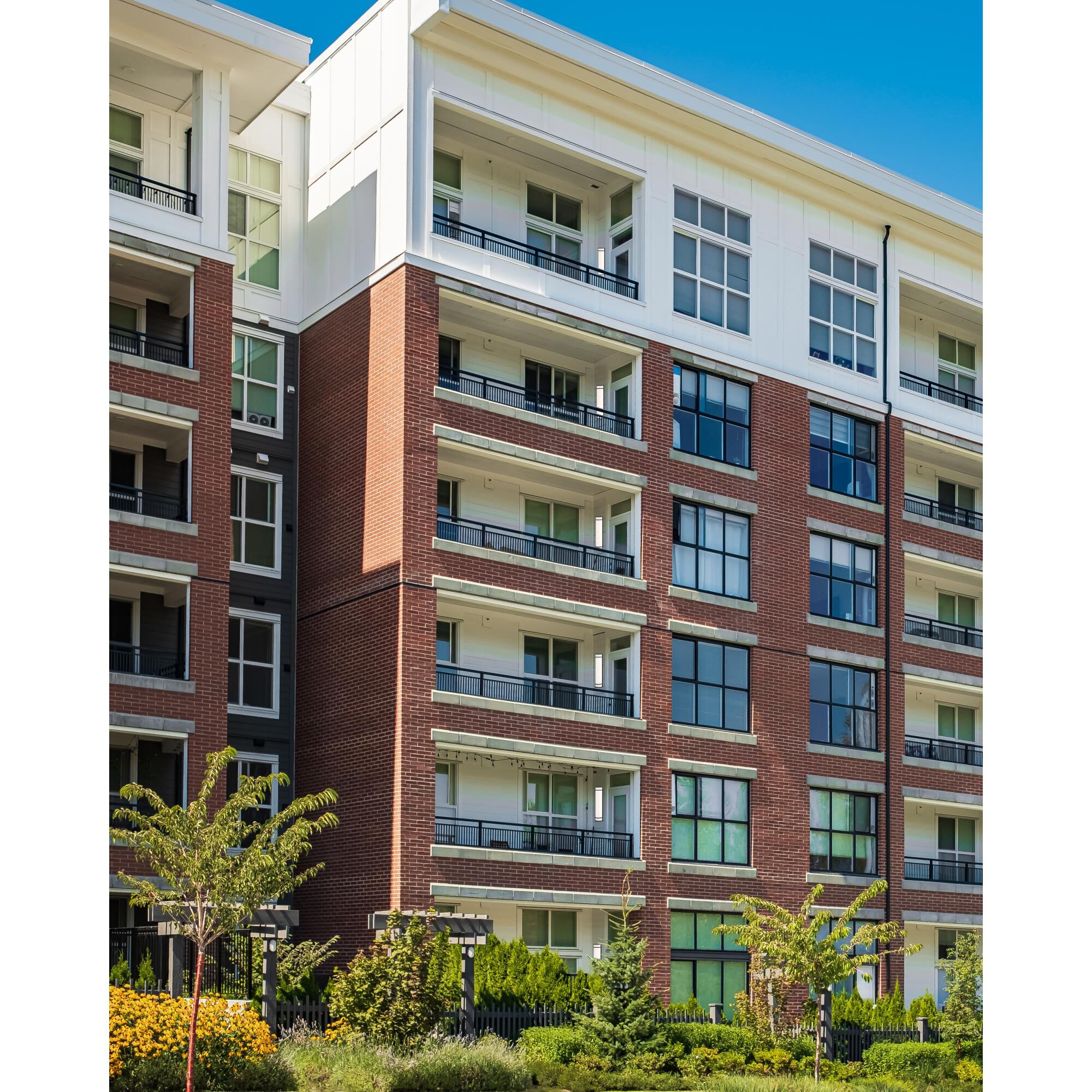 Access Lighting Cove 24 Inch LED Wall Sconce