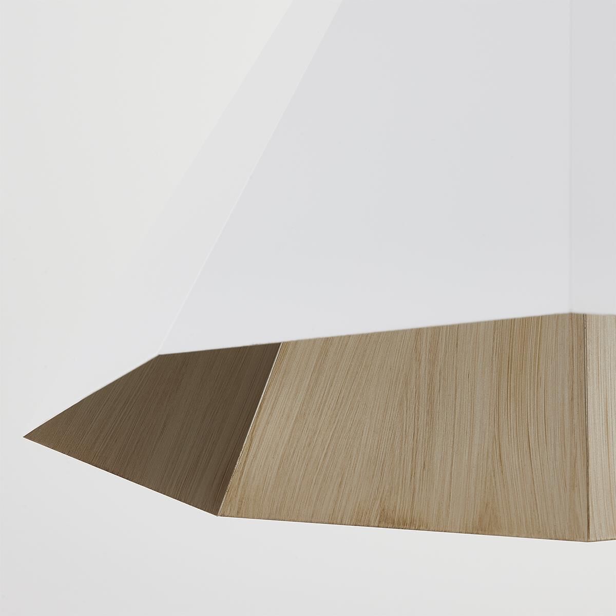 Huntley 15 Inch Large Pendant by Troy Lighting