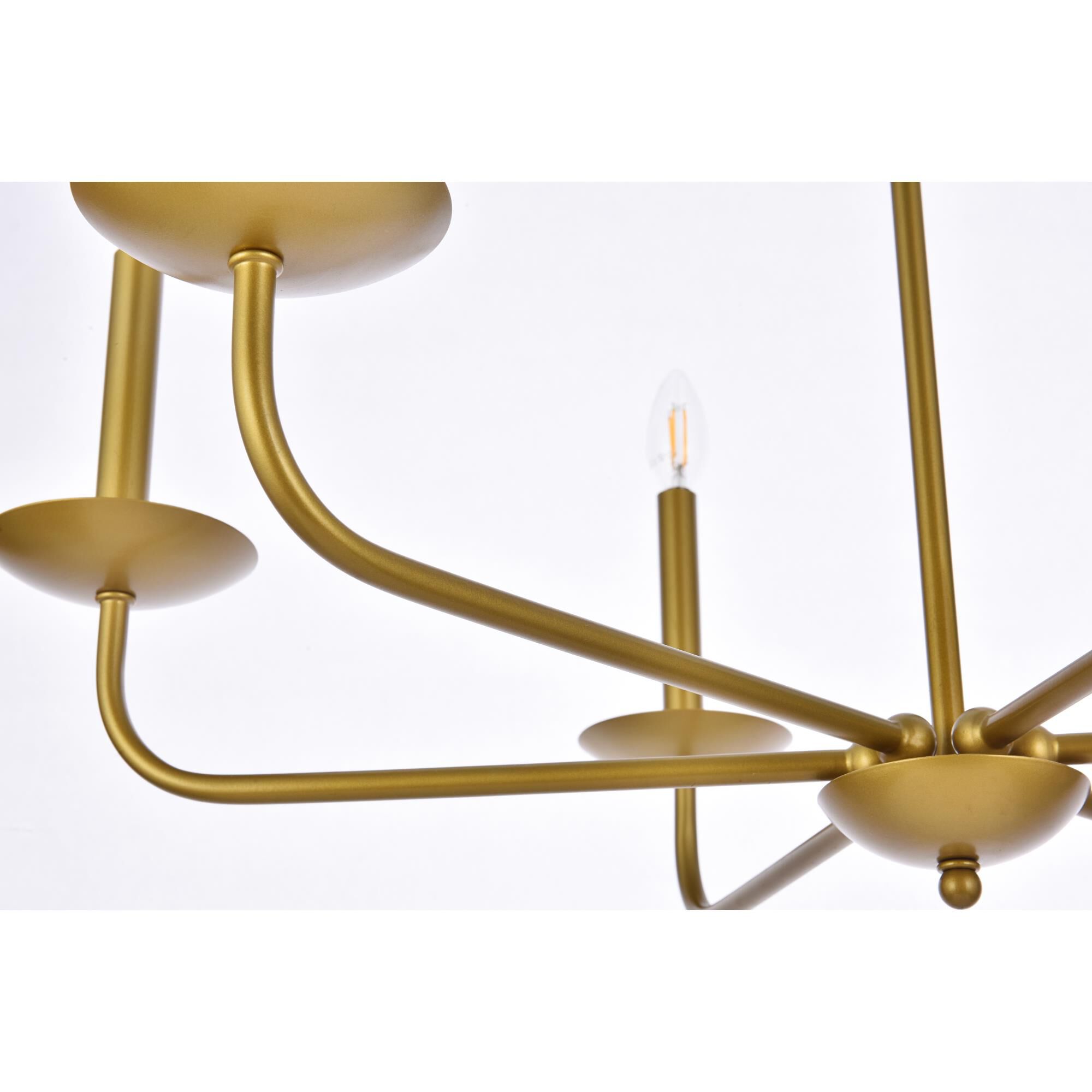 Cohen 30 Inch 6 Light Chandelier by Elegant Lighting