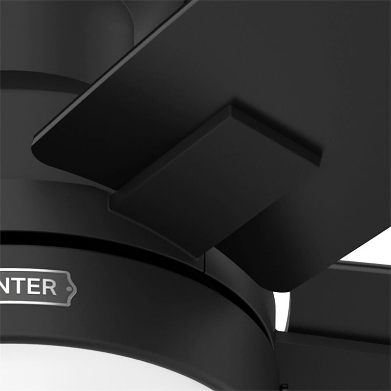 Anisten 52 Inch Ceiling Fan with Light Kit by Hunter Fan