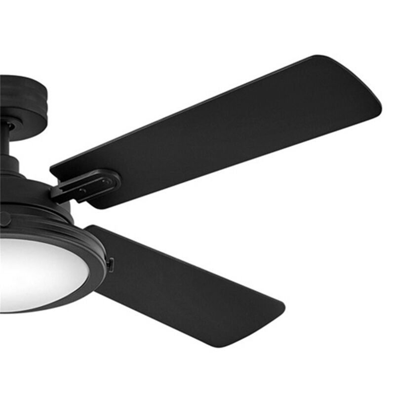 Collier 54 Inch Ceiling Fan with Light Kit by Hinkley