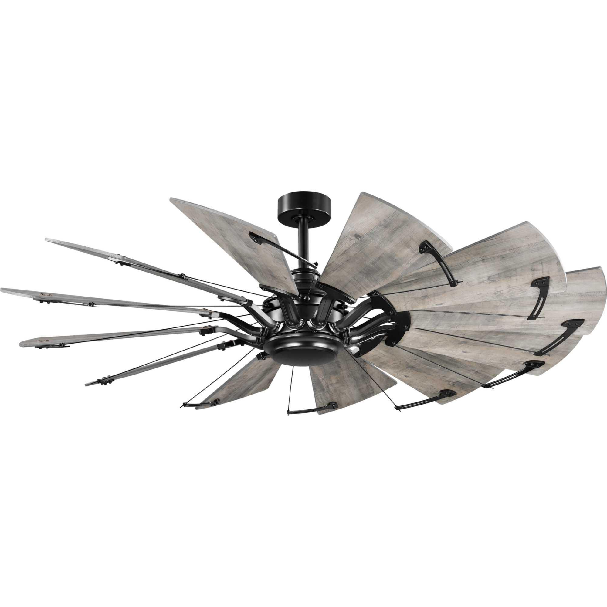 Springer 60 Inch Ceiling Fan by Progress Lighting