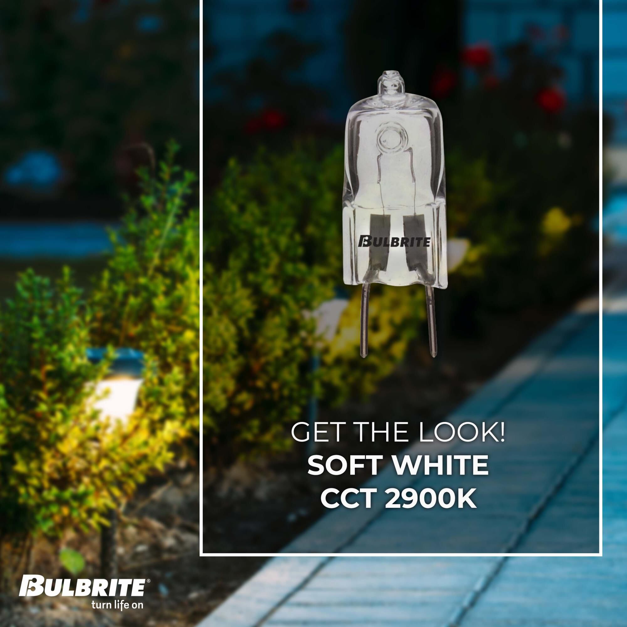 35 Watt 2900K T4 Halogen Light Bulb by Bulbrite