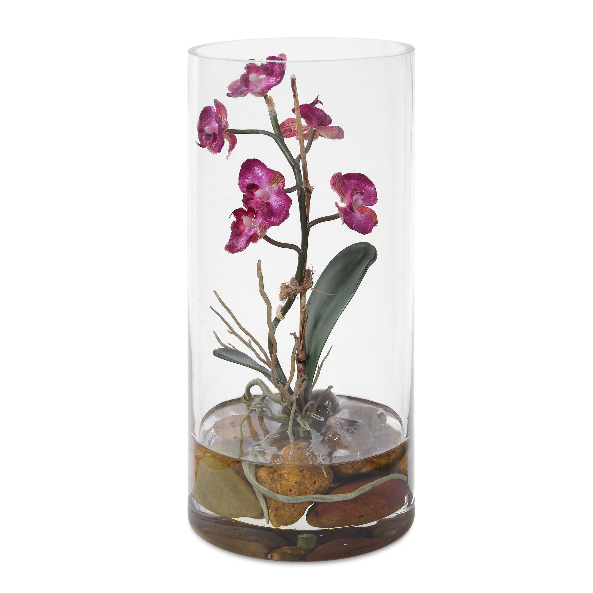 Mariposa Botanical,