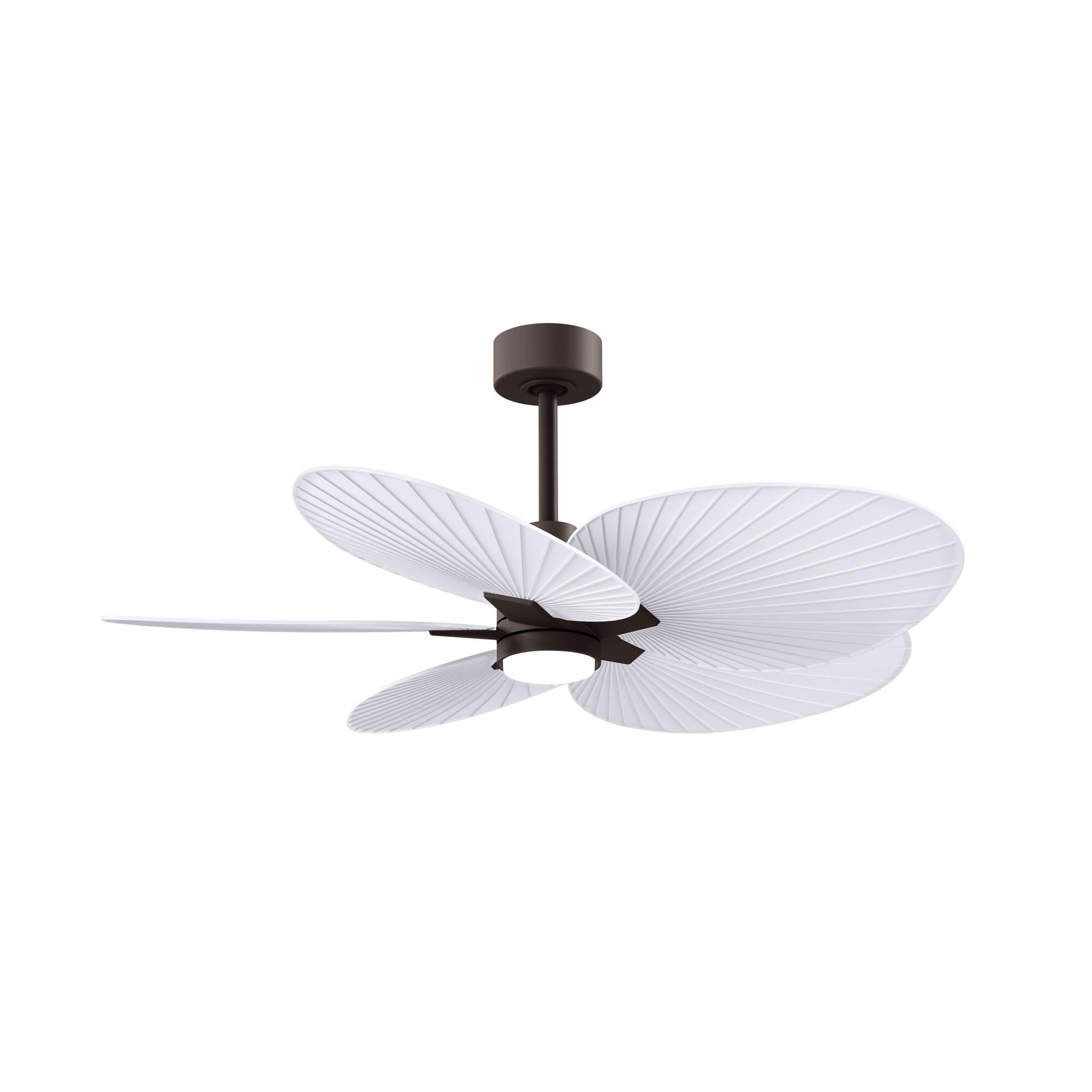 Alessandra Tropical Outdoor Rated 48 Inch Ceiling Fan with Light Kit by Matthews Fan Company