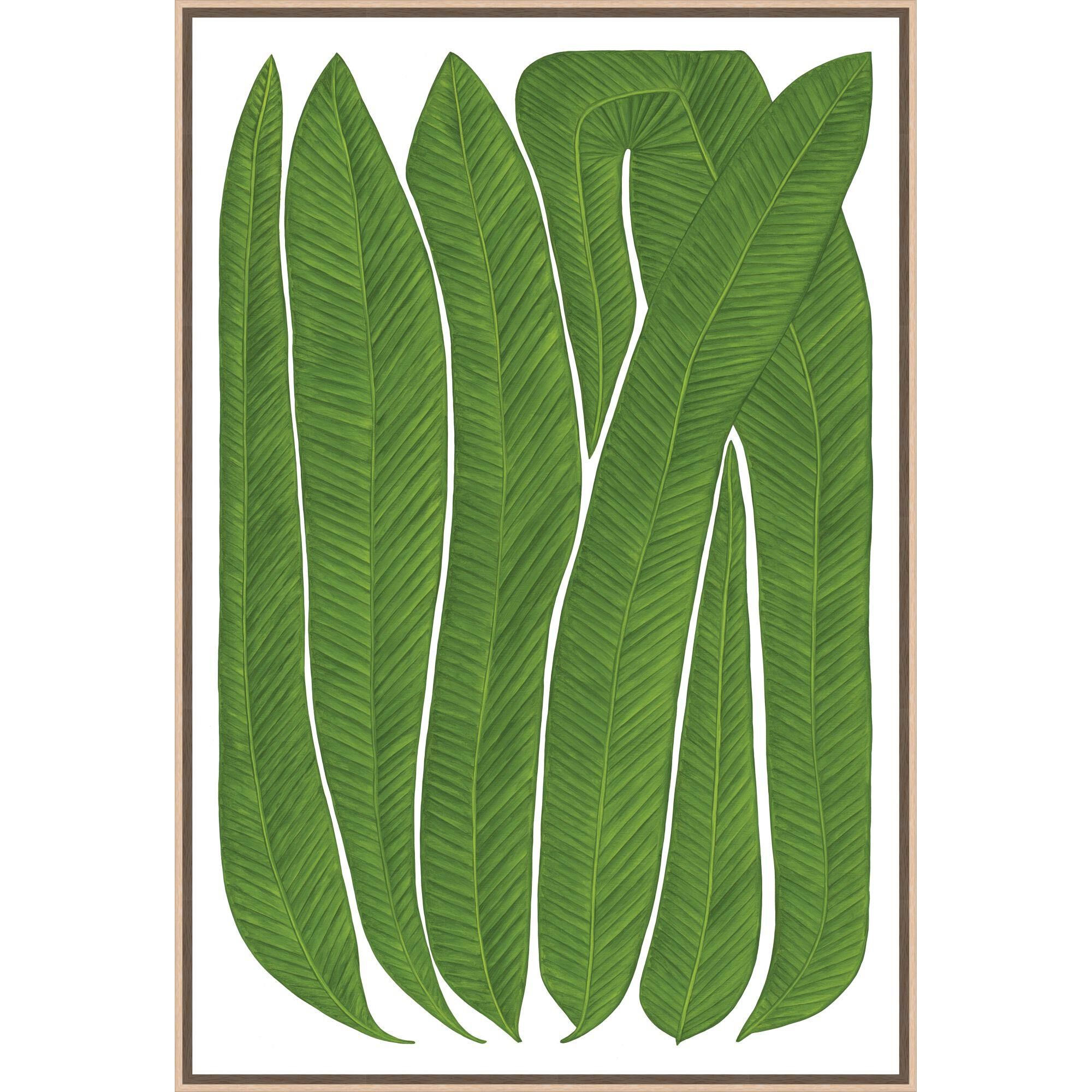 Botanicus Teneo Print by LEVEL57