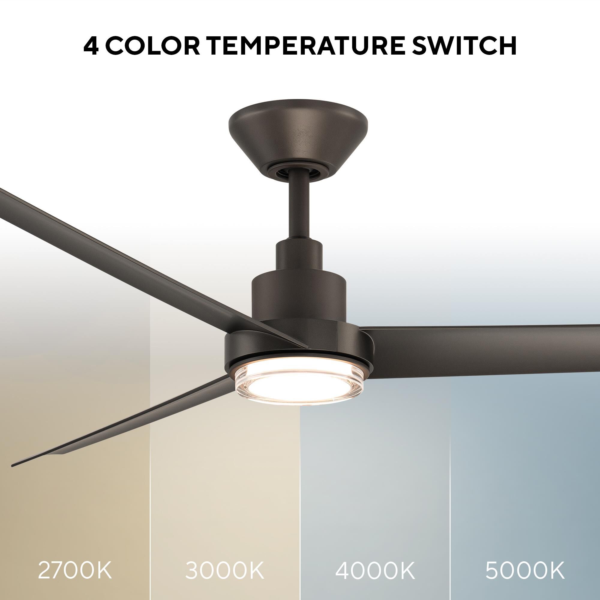 Bolo 62 Inch Ceiling Fan with Light Kit by Modern Forms