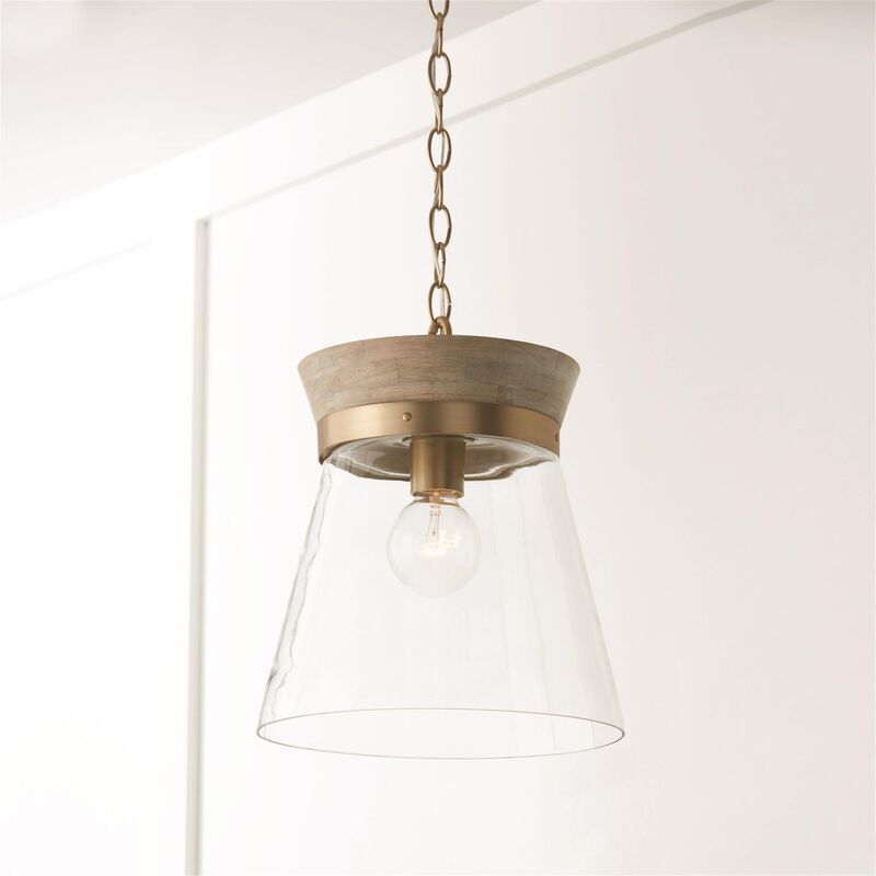 Capital Lighting Fixture Company Finn 12 Inch Mini Pendant