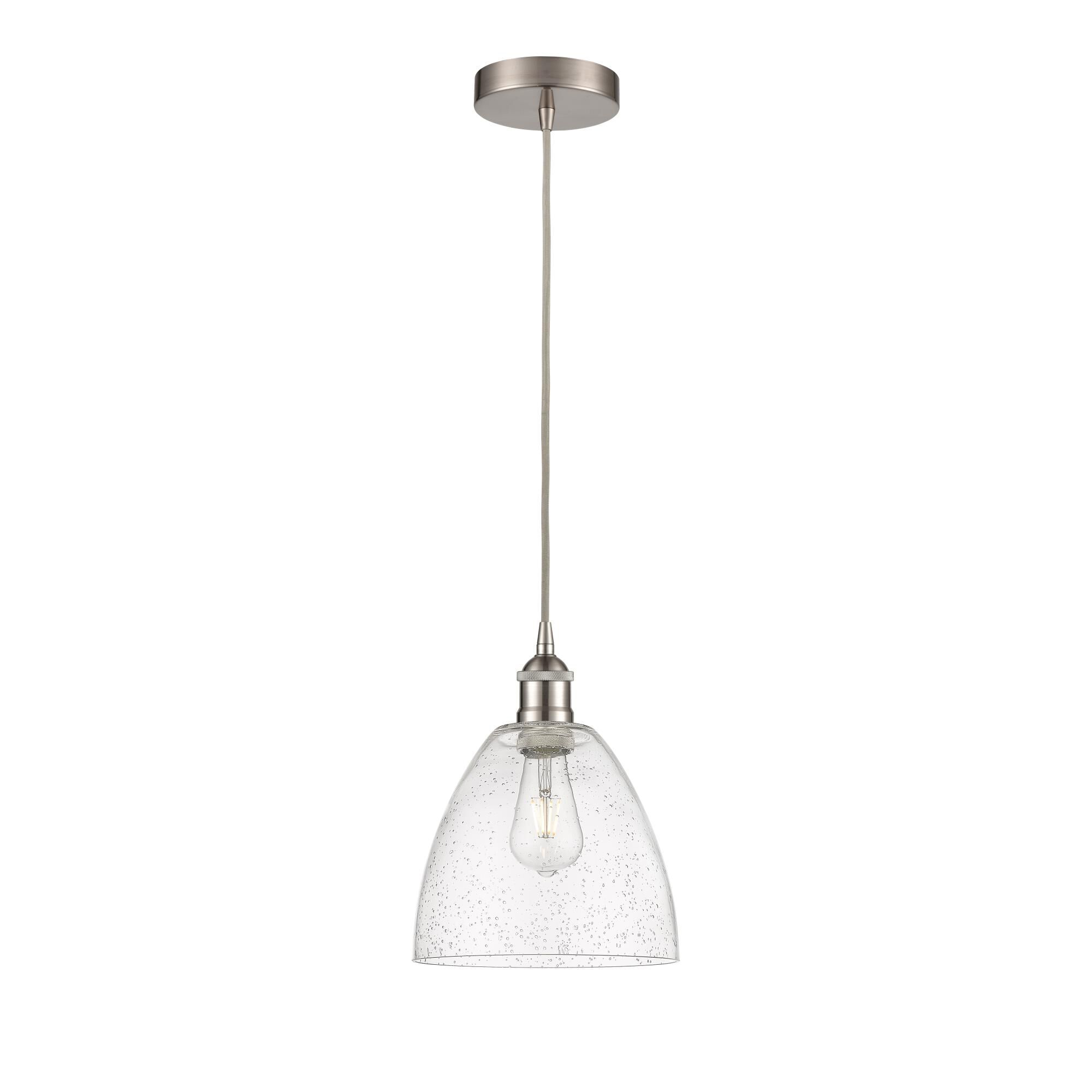 Shown in Brushed Satin Nickel finish and Seedy Edison Dome glass