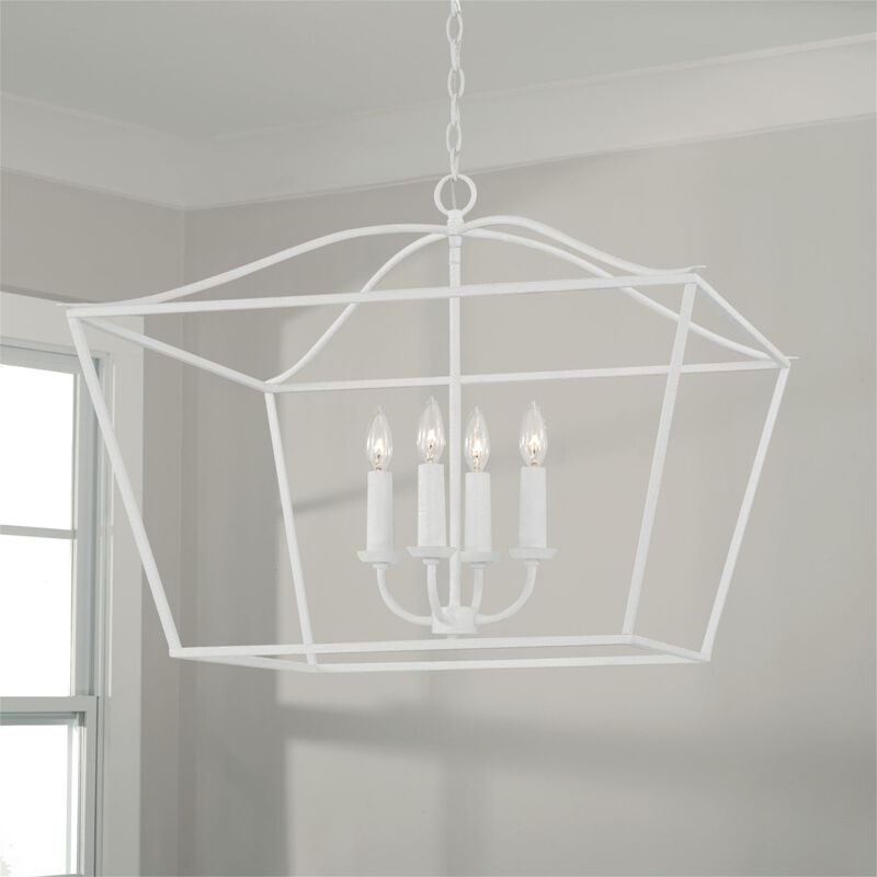 Grady 38 Inch Cage Pendant by Capital Lighting Fixture Company