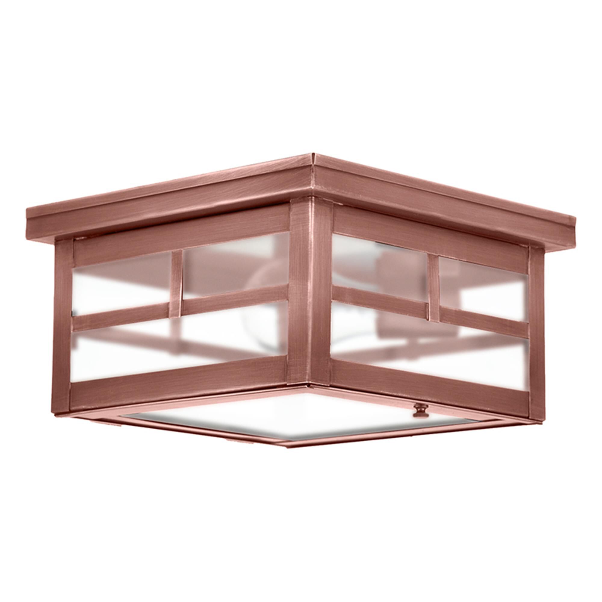 Williams 9 Inch Outdoor Flush Mount,