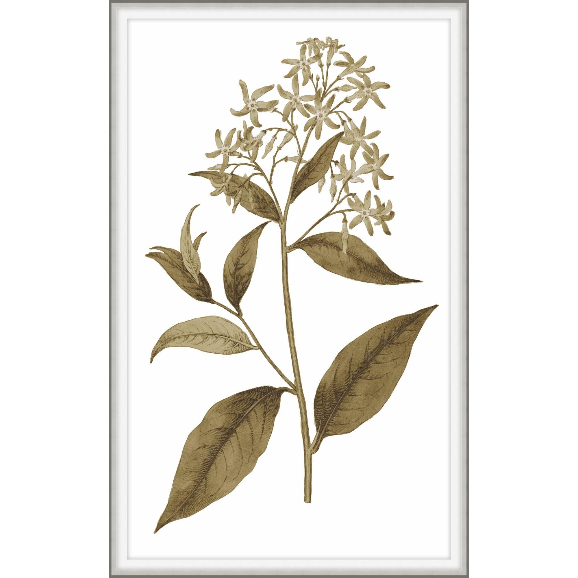 Sweet Preservation Print by LEVEL57