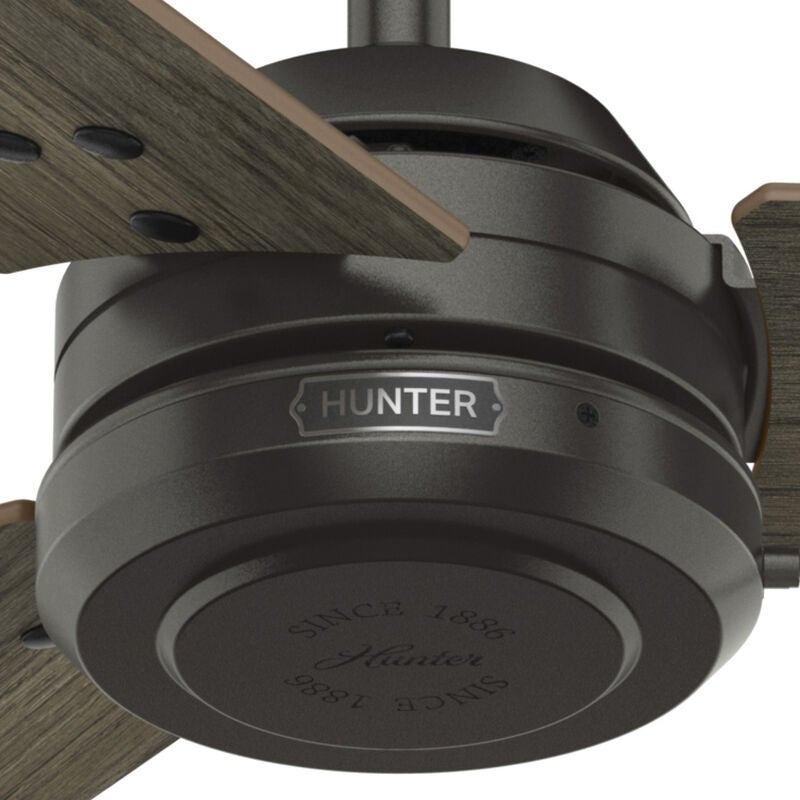 Cassius 52 Inch Ceiling Fan by Hunter Fan