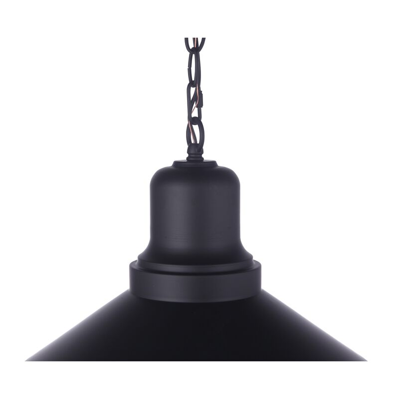 Singleton 14 Inch Outdoor Hanging Lantern by Craftmade