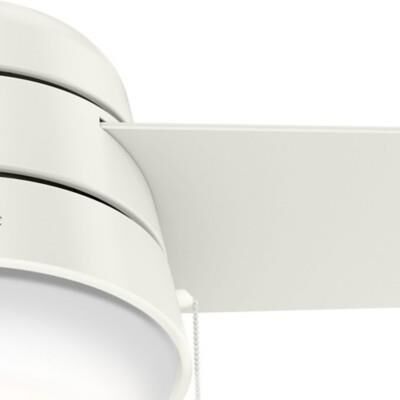 Aker 36 Inch Ceiling Fan with Light Kit by Hunter Fan