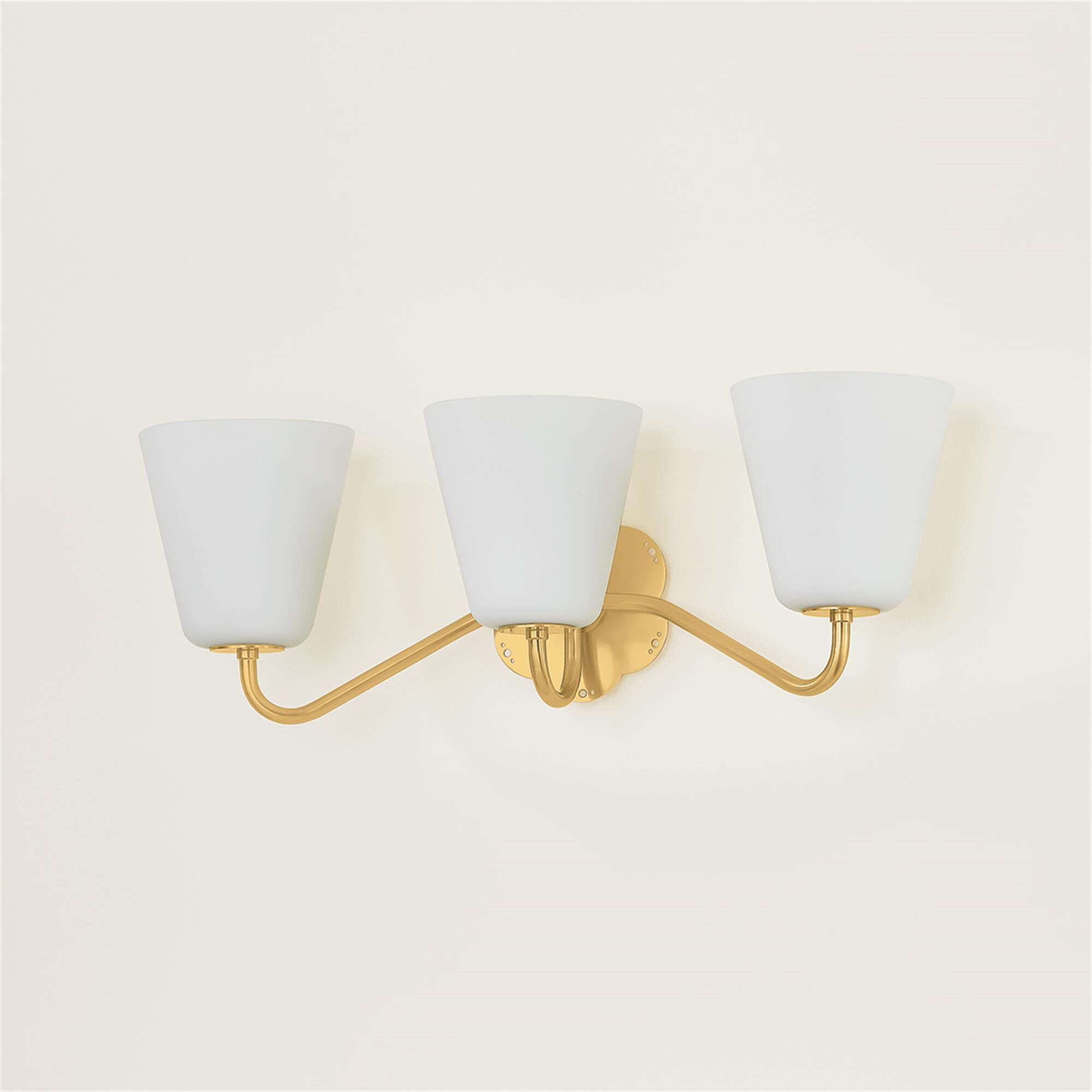 Leonella 24 Inch 3 Light Bath Vanity Light,