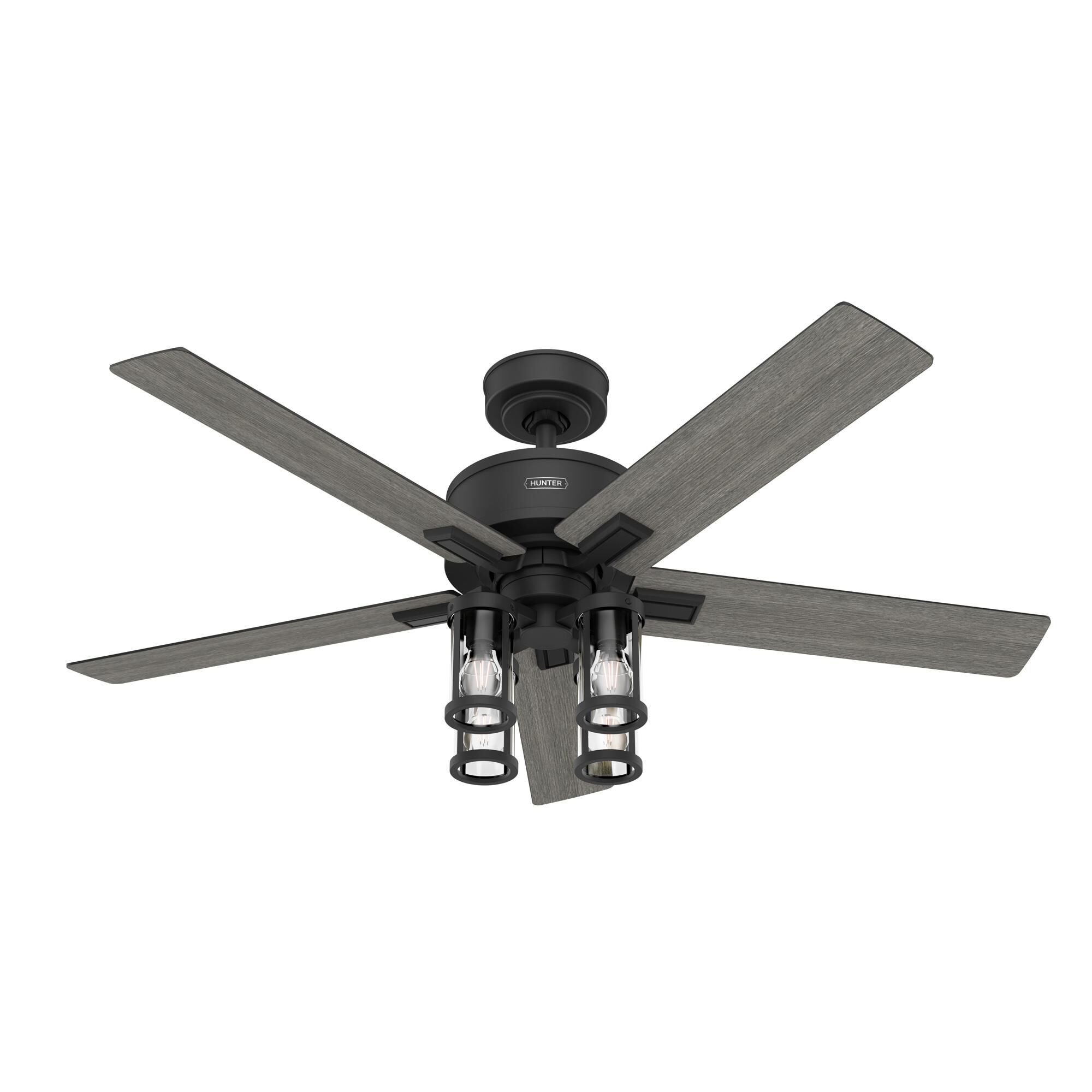 Astwood II 52 Inch Ceiling Fan by Hunter Fan