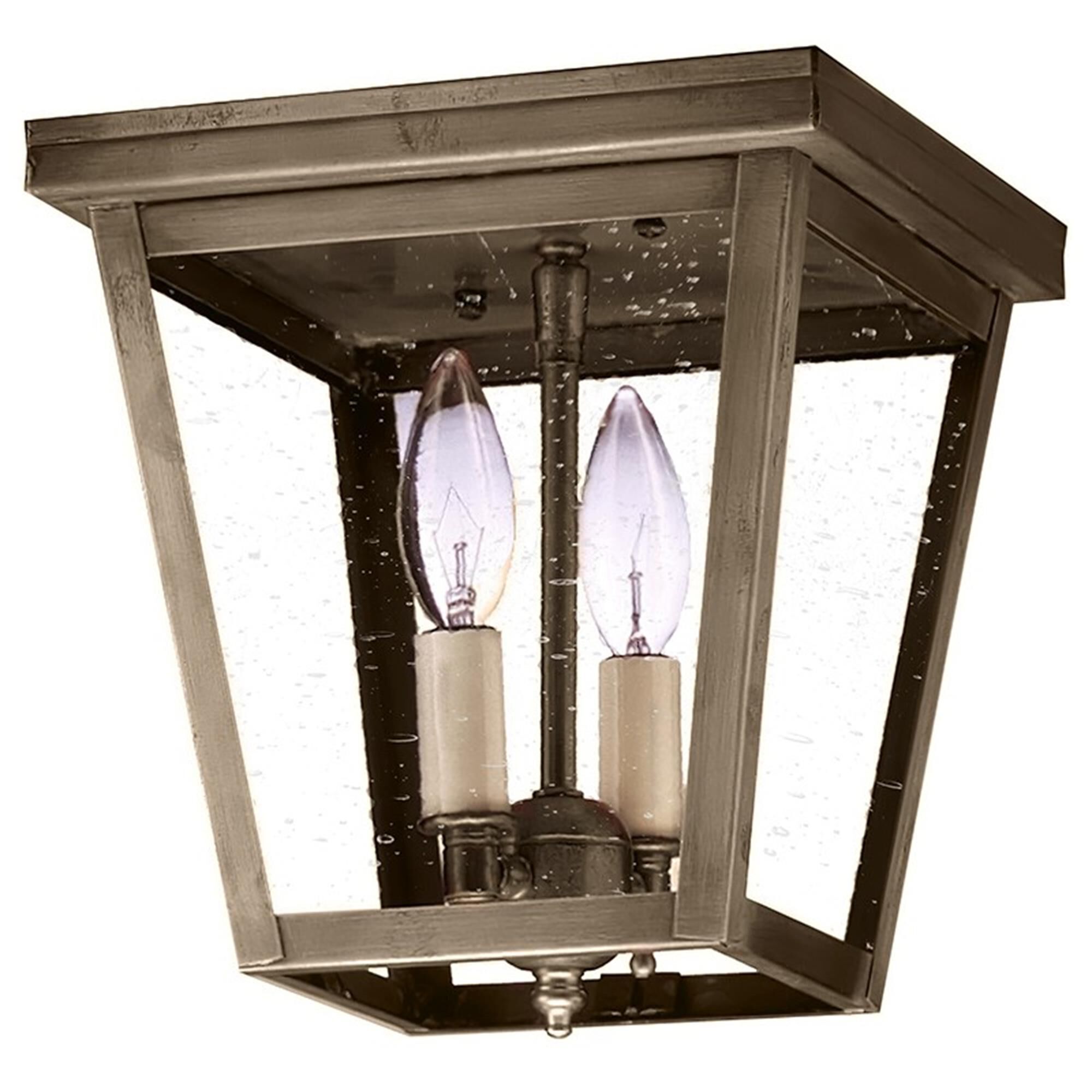 Williams 8 Inch 2 Light Outdoor Flush Mount,