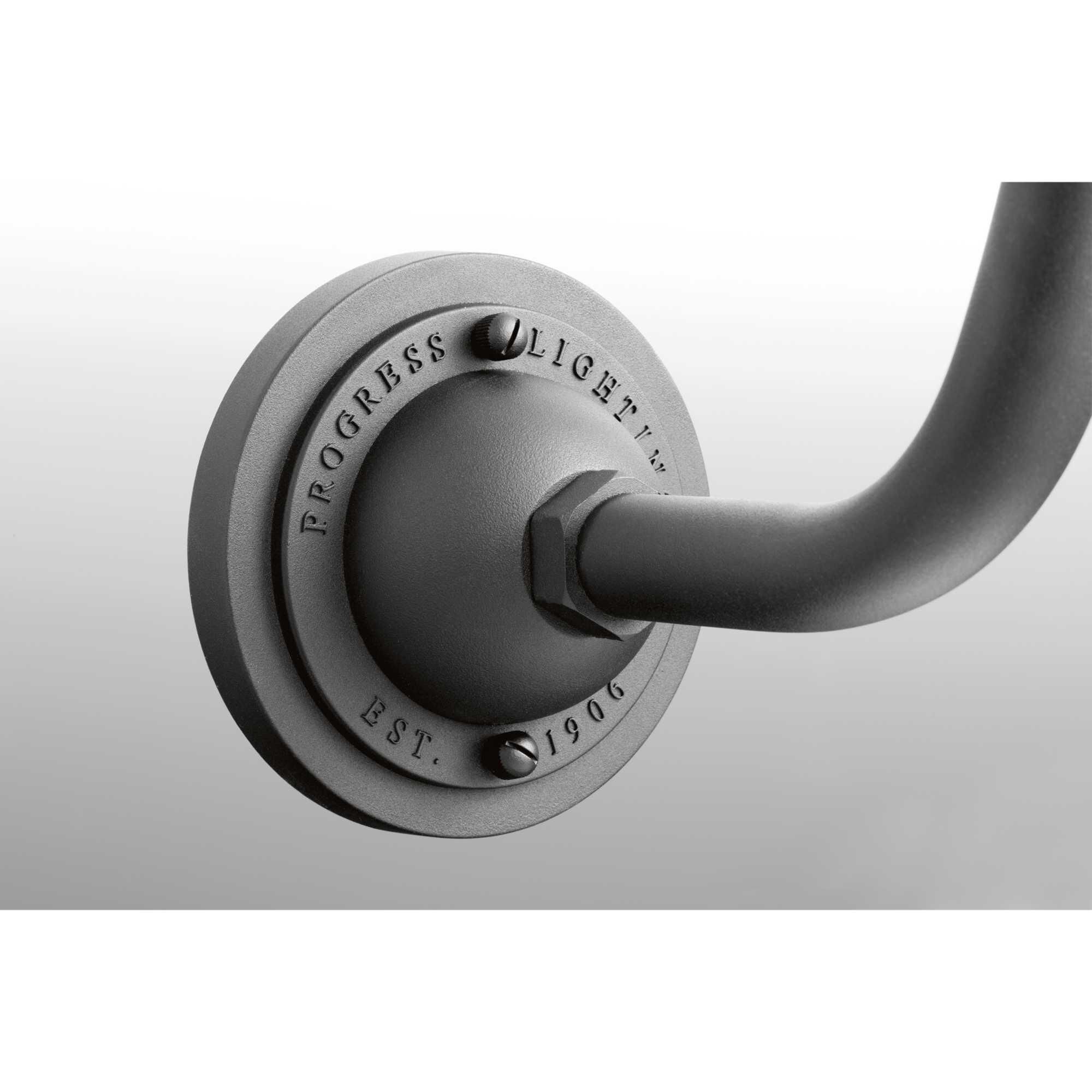 Progress Lighting Cedar Springs 11 Inch Tall Outdoor Wall Light