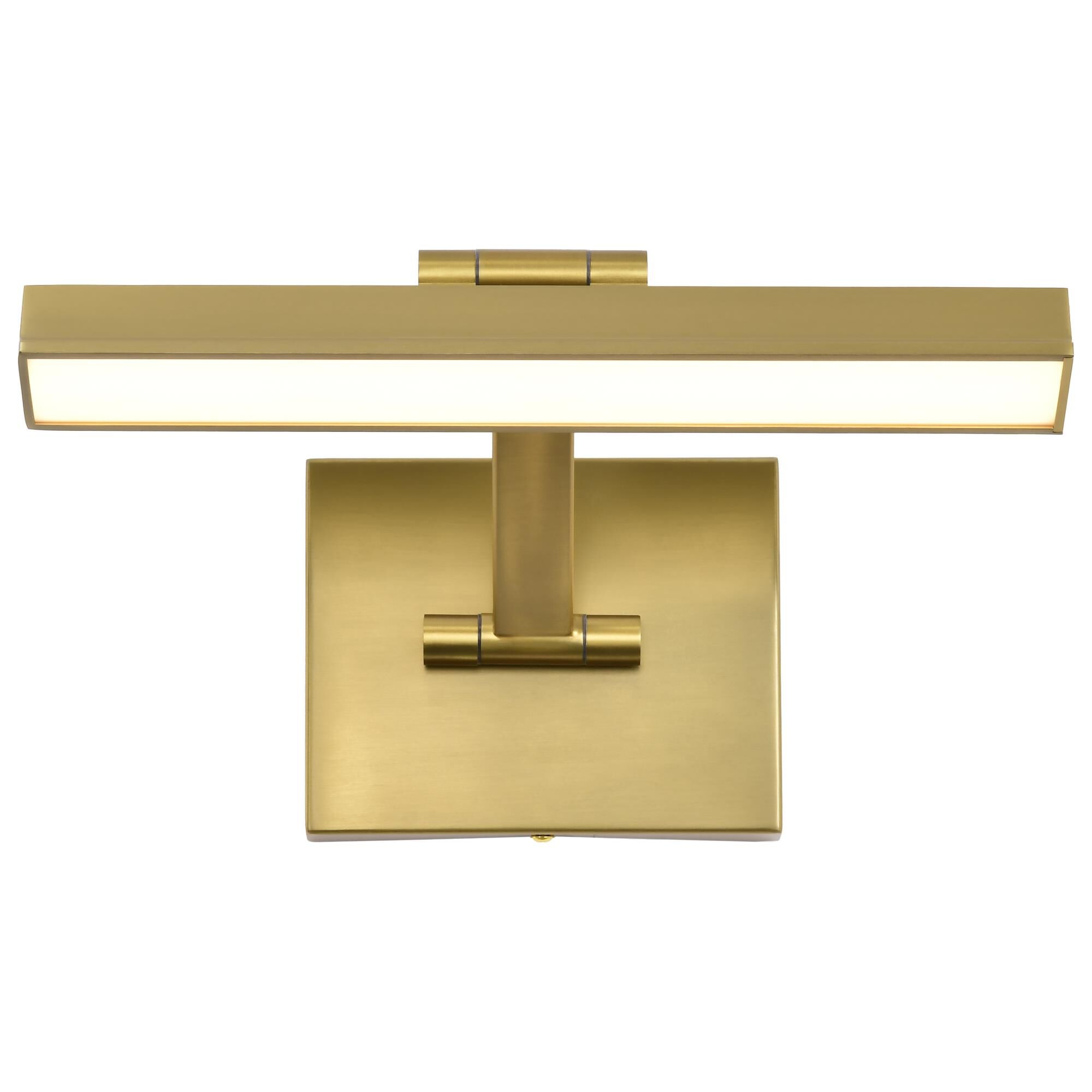 Hazel 12 Inch Picture and Display Light by Nuvo Lighting