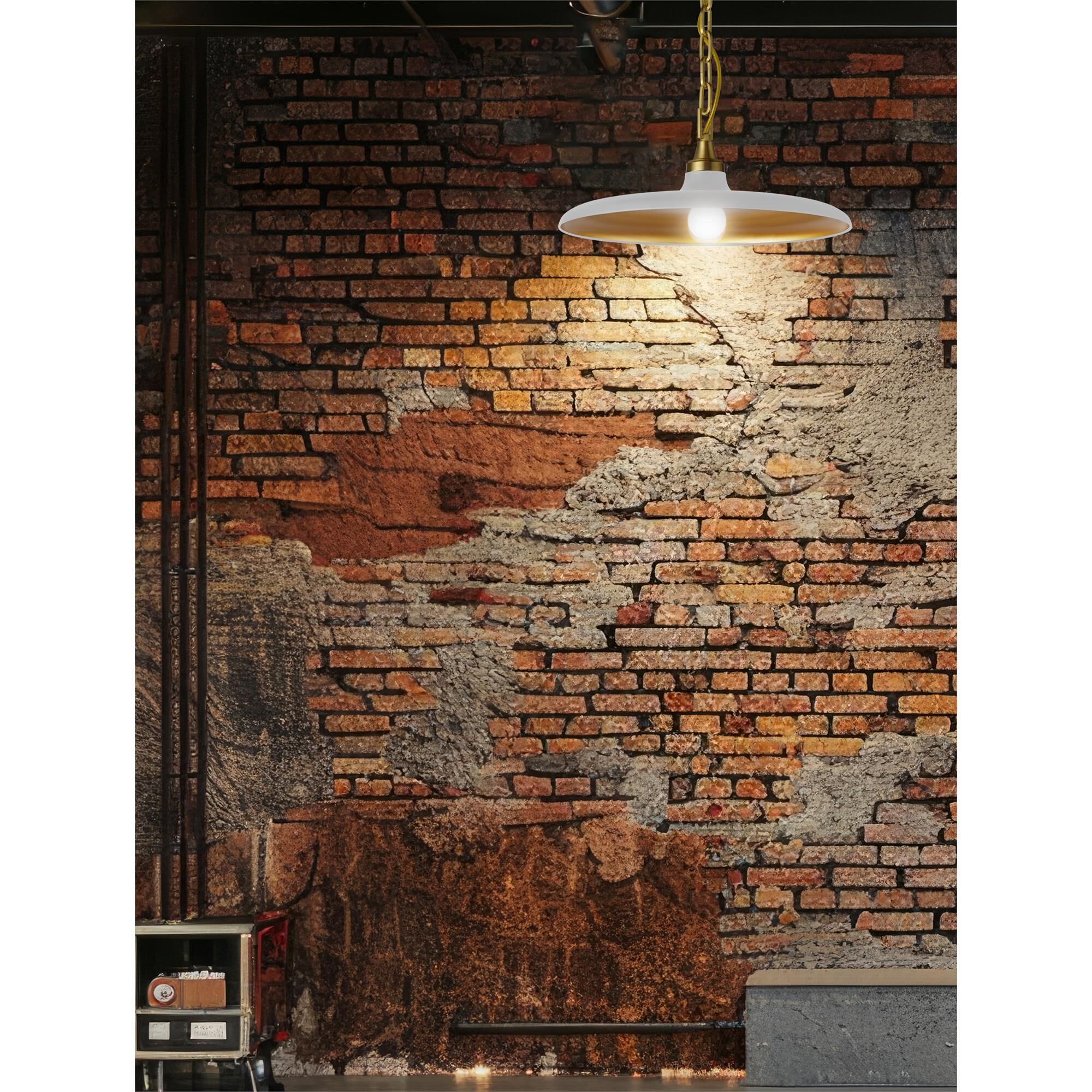 Quentin 18 Inch Large Pendant by Dainolite