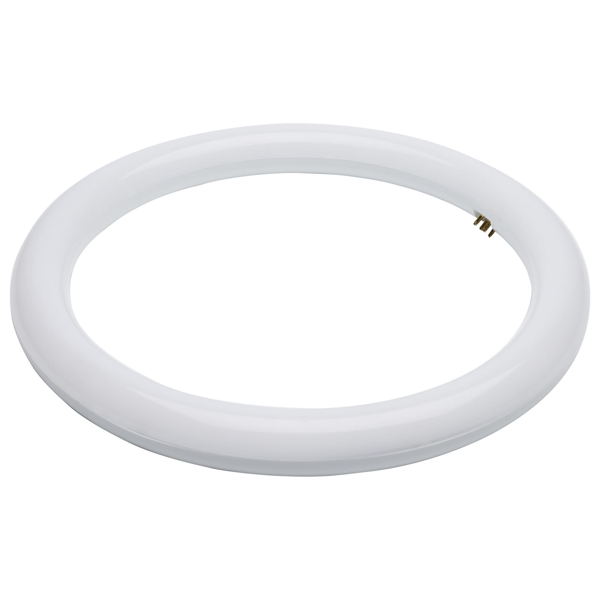 12 Inch LED Light Bulb by Satco