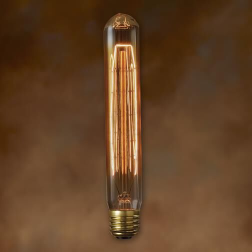 30 Watt 1800K T9 Vintage Light Bulb by Bulbrite