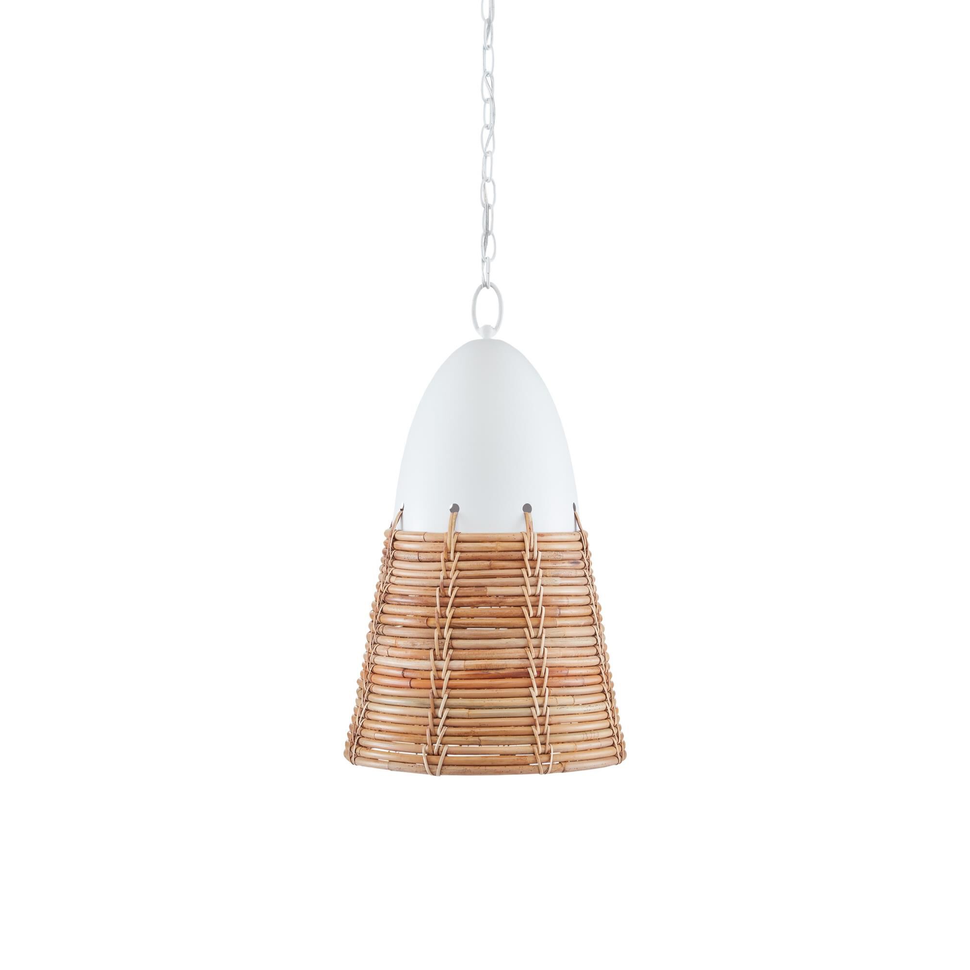 Arundo 14 Inch Large Pendant by Currey and Company
