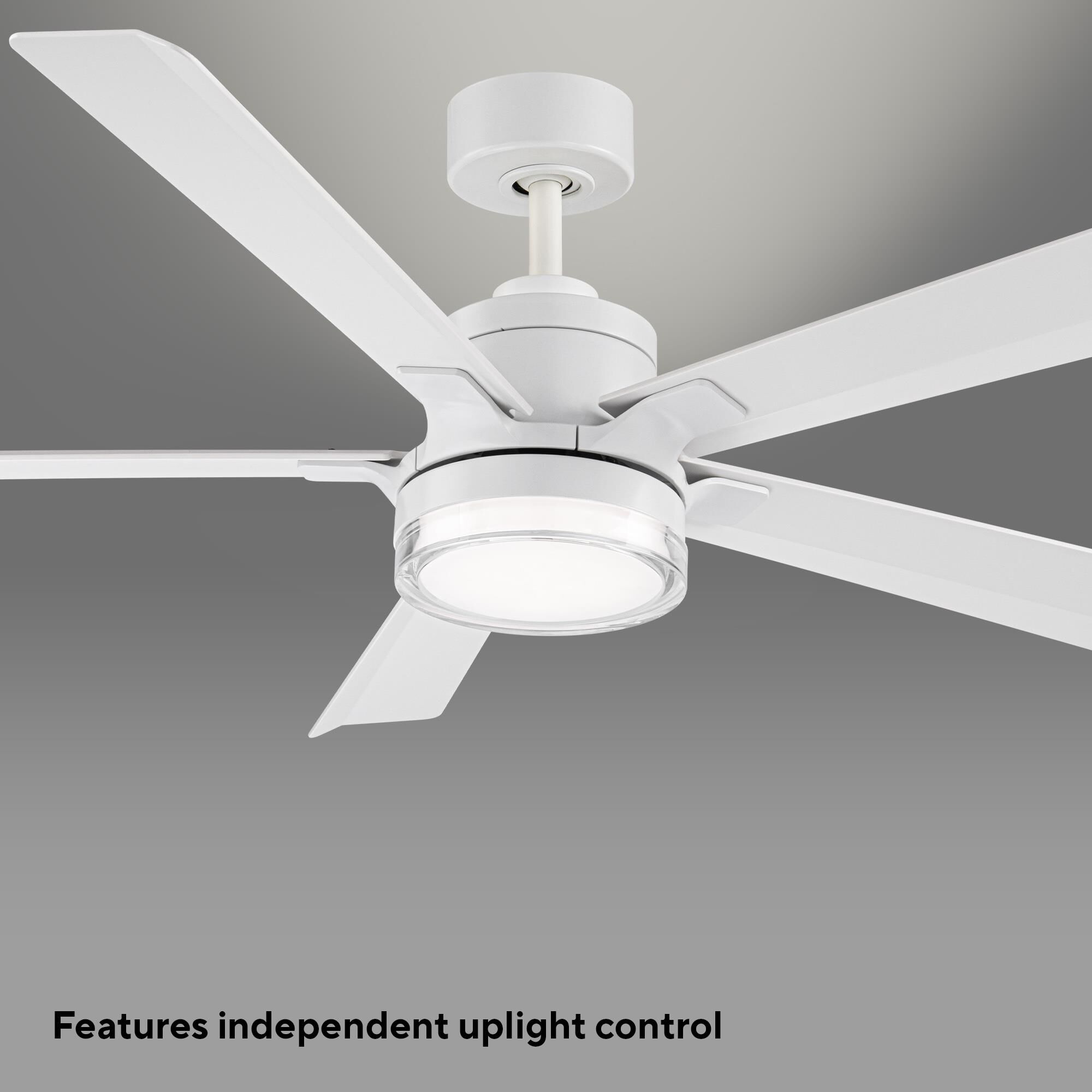 Radiant 64 Inch Ceiling Fan with Light Kit by Modern Forms