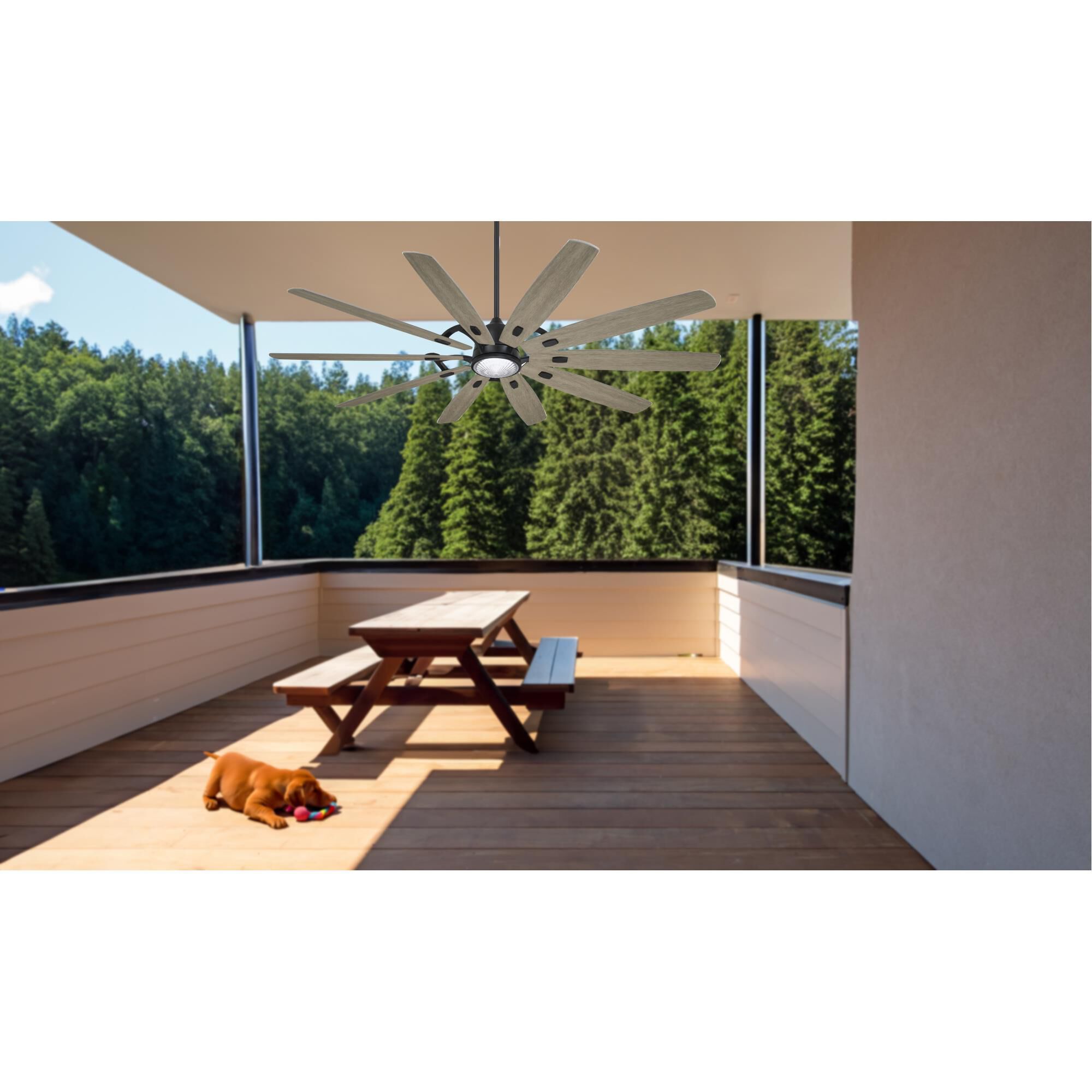 Shown in Coal finish and Clear Ribbed glass