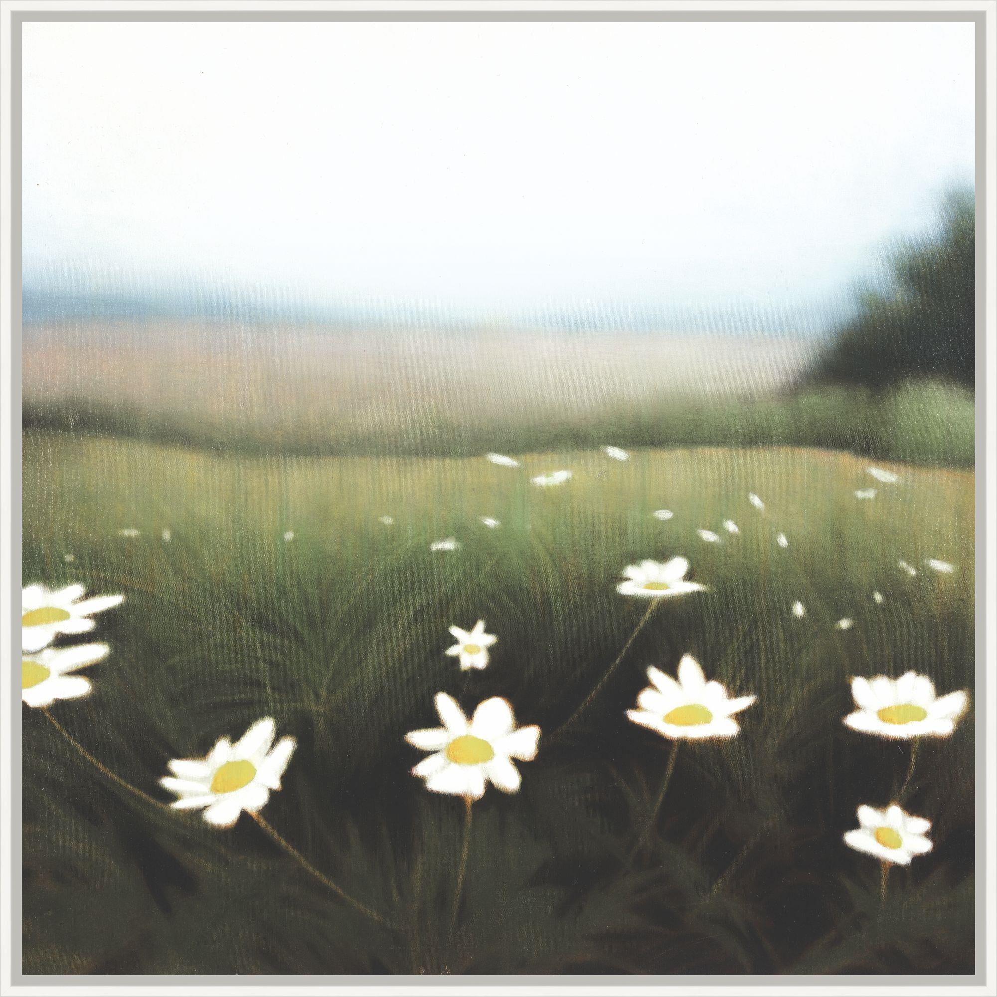 Studio L57 Impressions Wild Daisies Print by LEVEL57