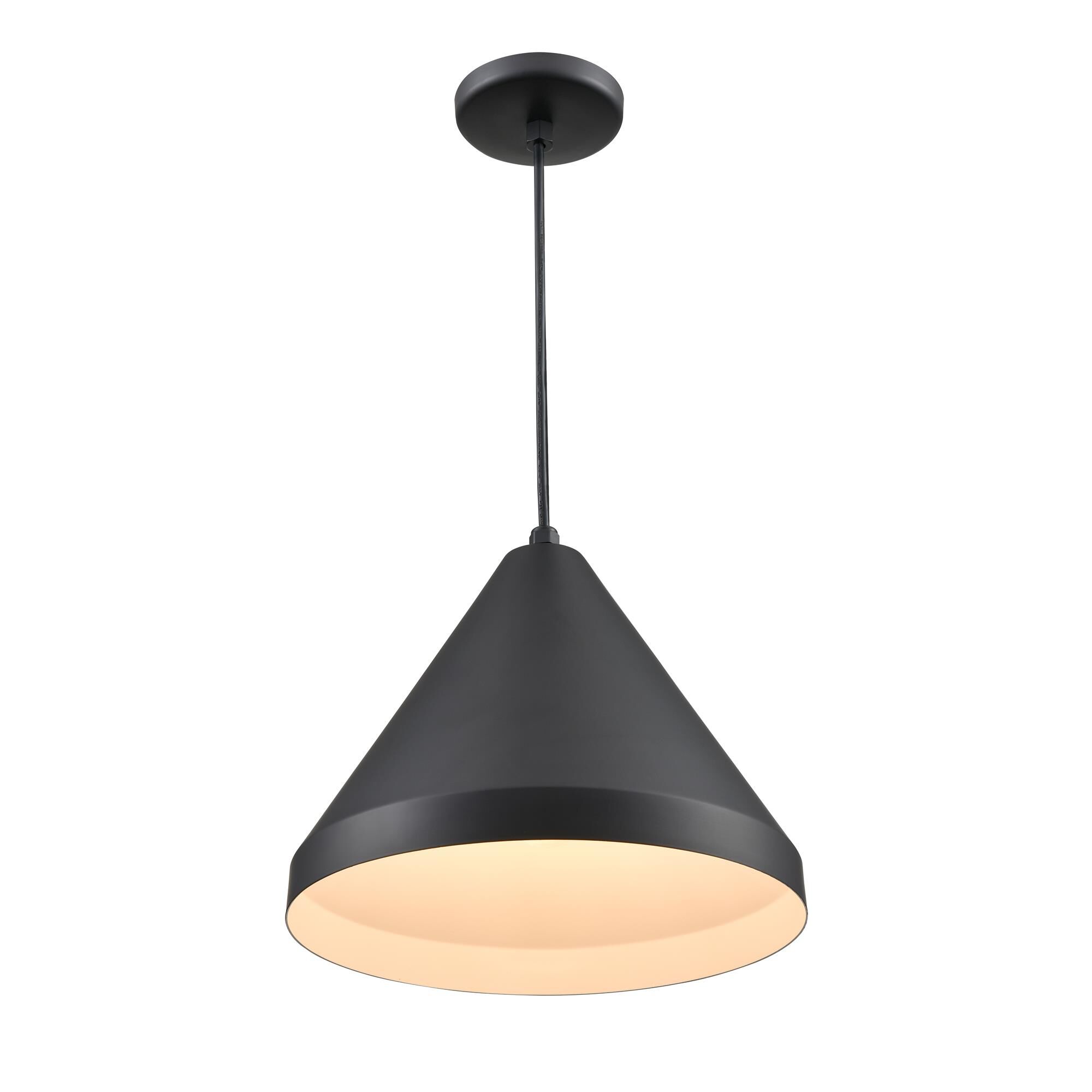 R Series 11 Inch Large Pendant by Millenium Lighting
