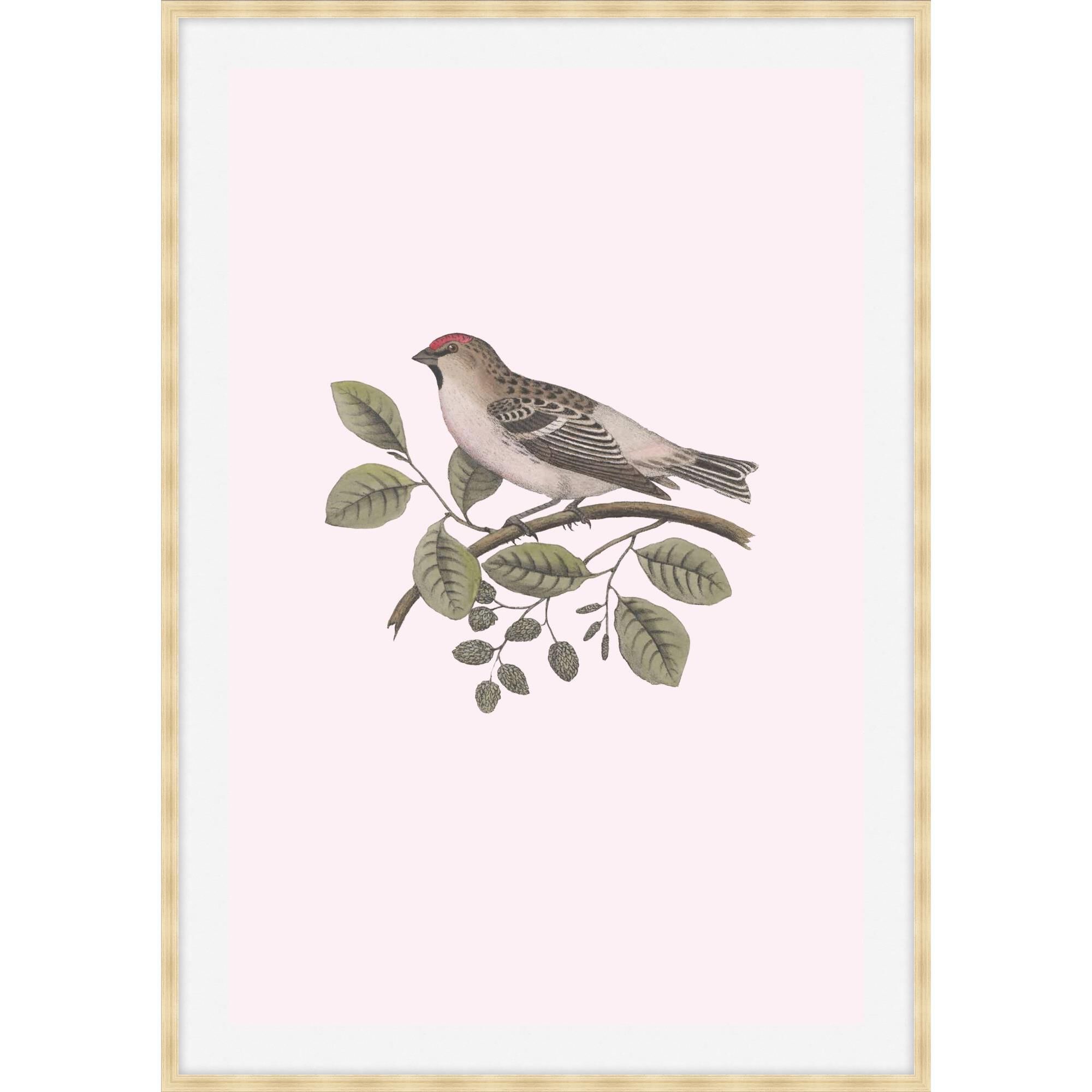 Nesting Navigators Pink Print by LEVEL57