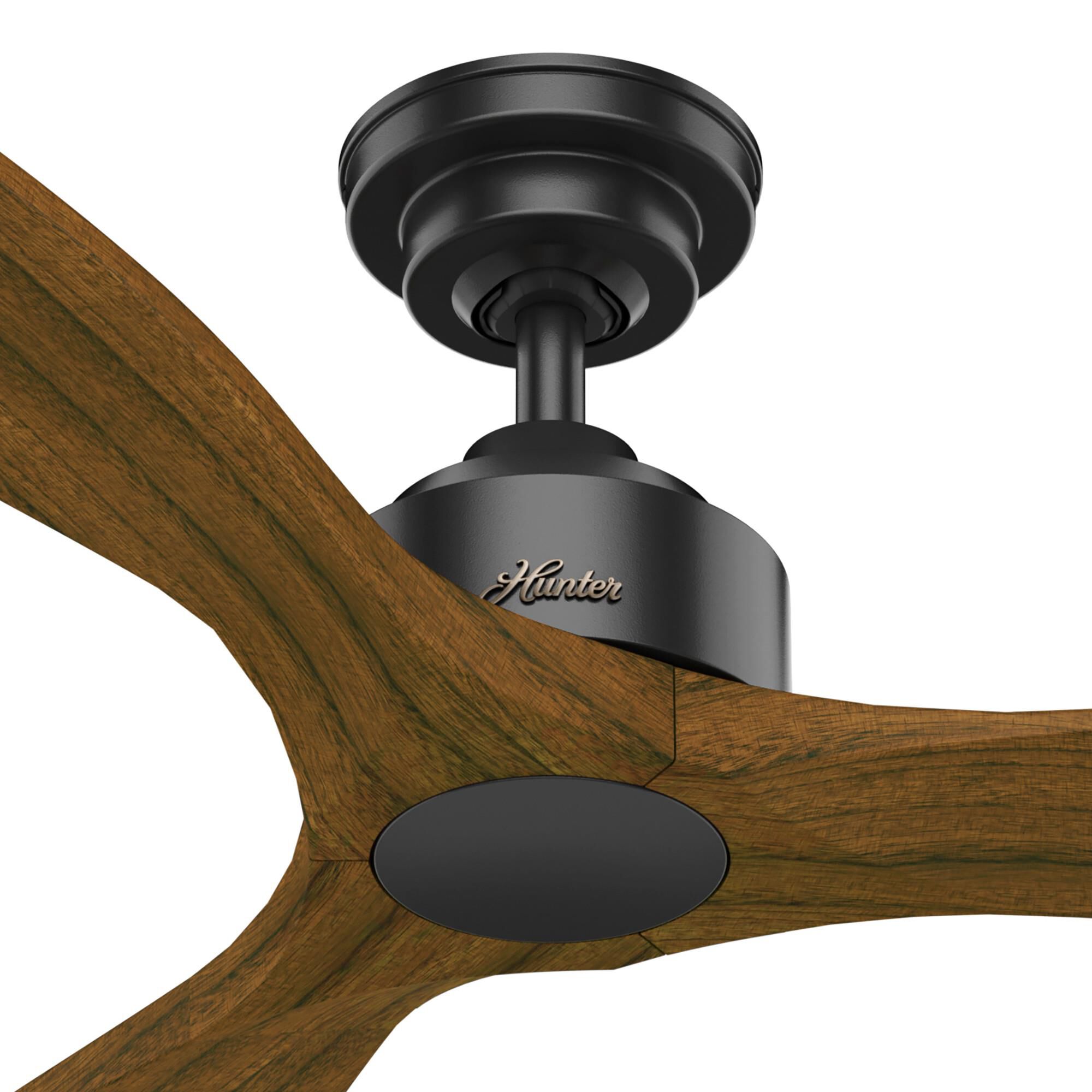 Melbourne 52 Inch Ceiling Fan by Hunter Fan