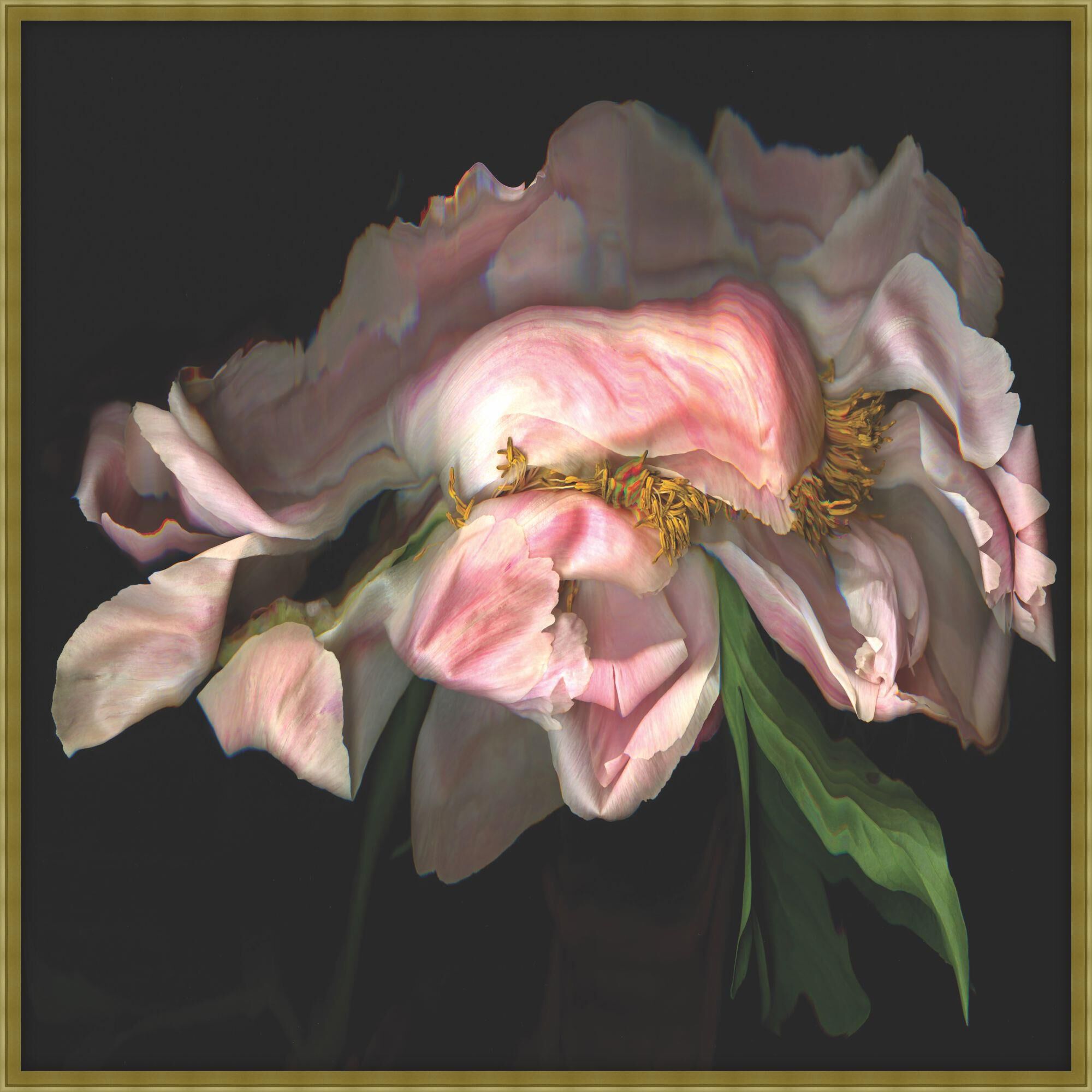 The Flora Dance Print by LEVEL57