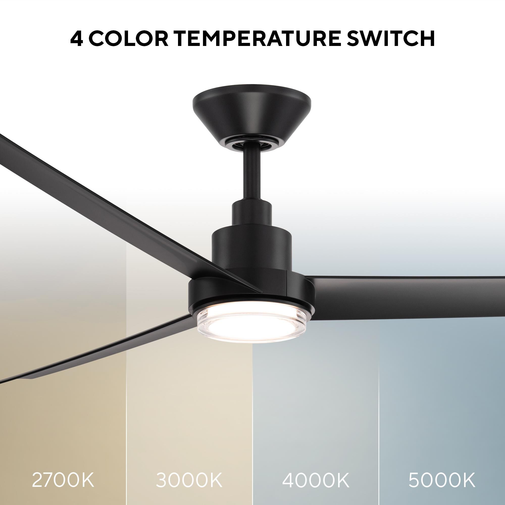 Bolo 62 Inch Ceiling Fan with Light Kit by Modern Forms