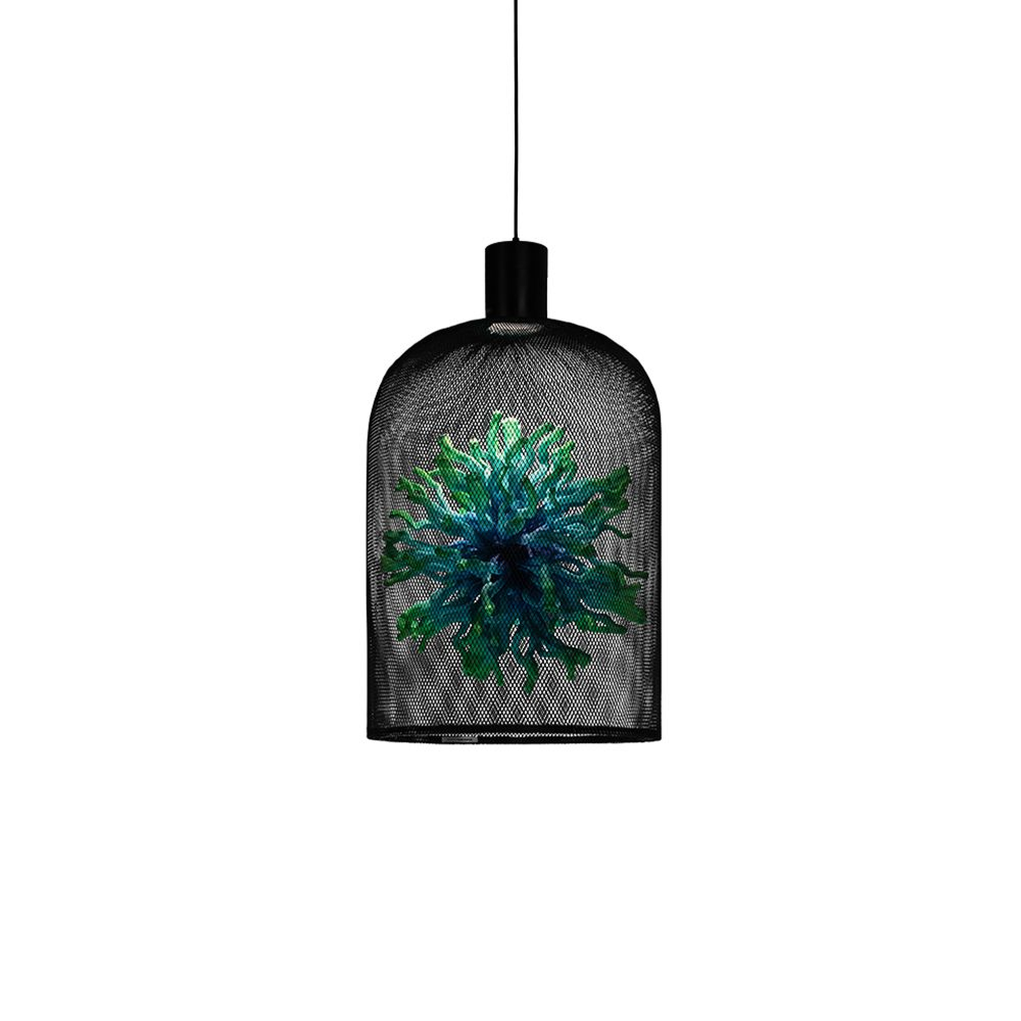 Curio 33 Inch Pendant Light,