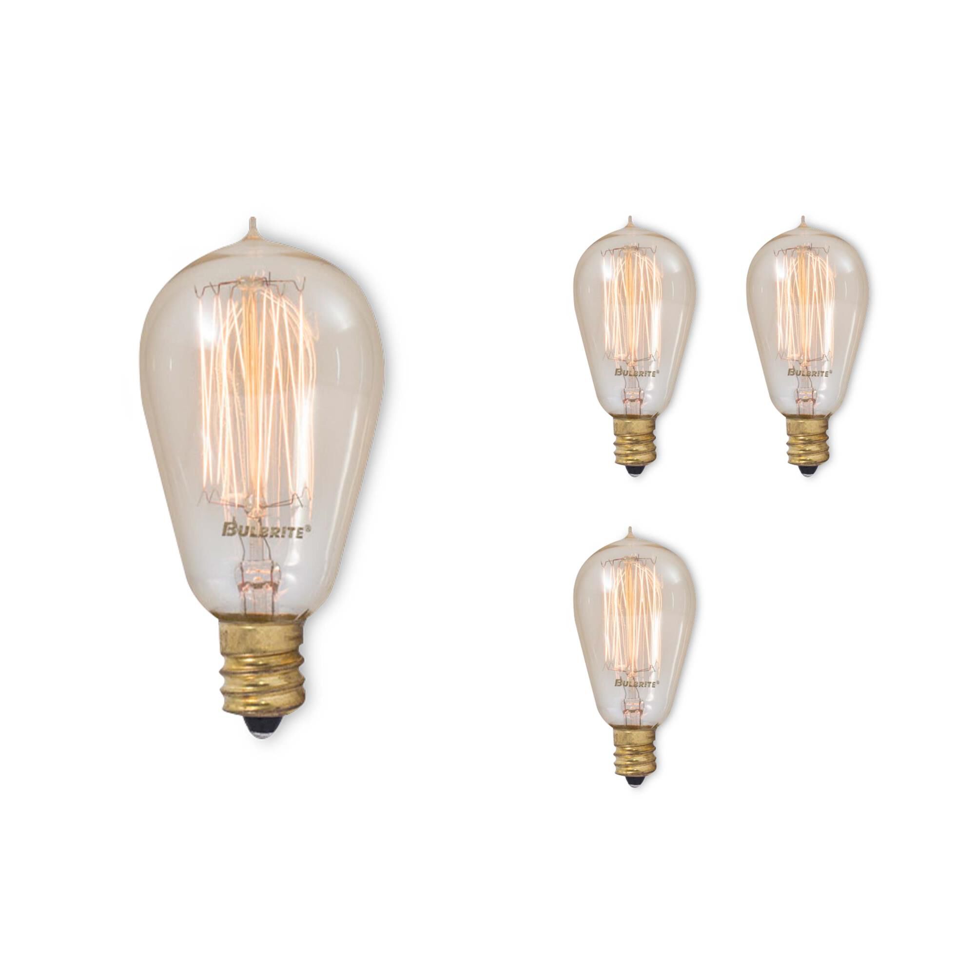25 Watt 2200K ST15 Incandescent Light Bulb by Bulbrite